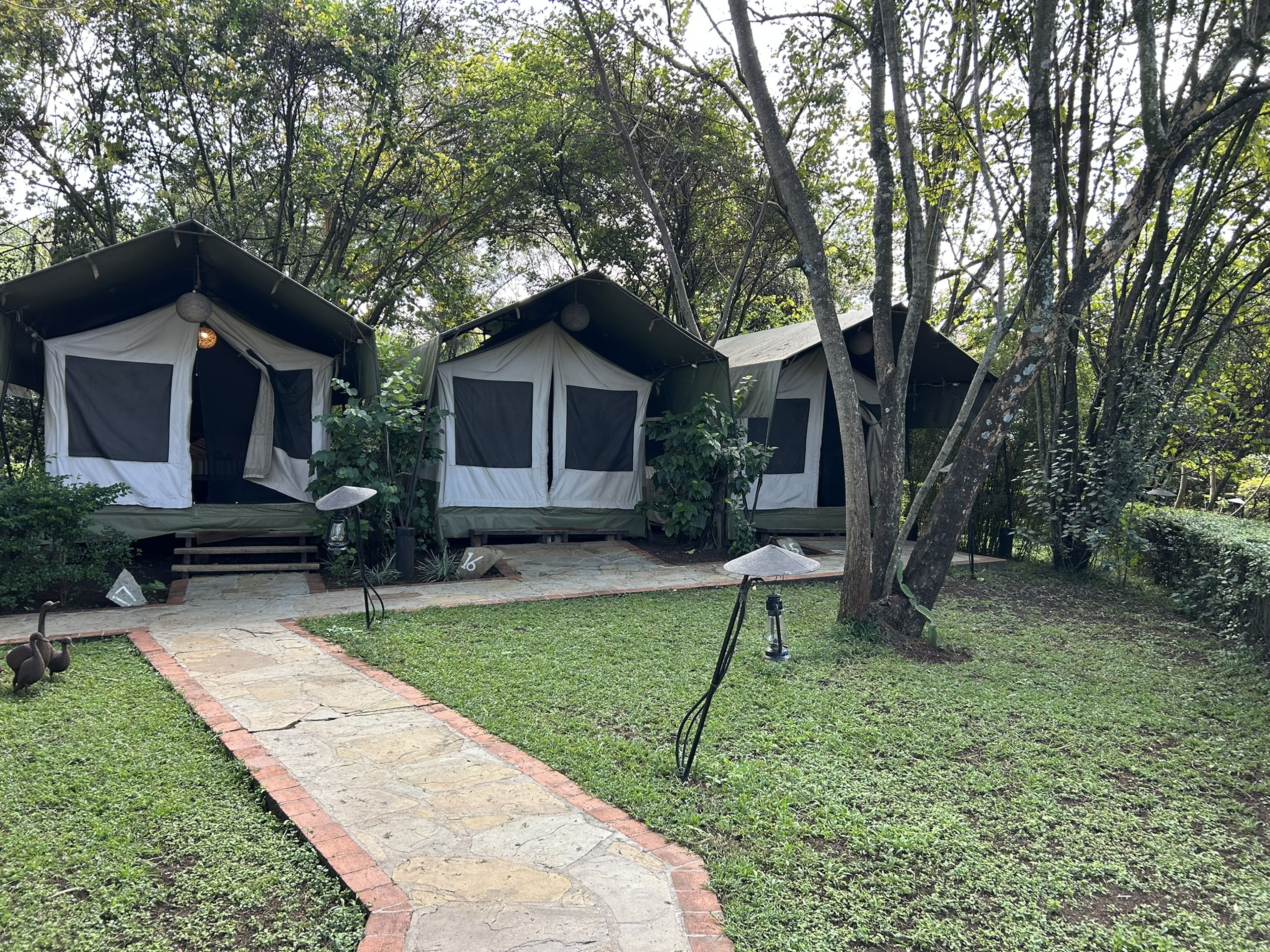 De safaritenten bij Safaripark Beekse Bergen.