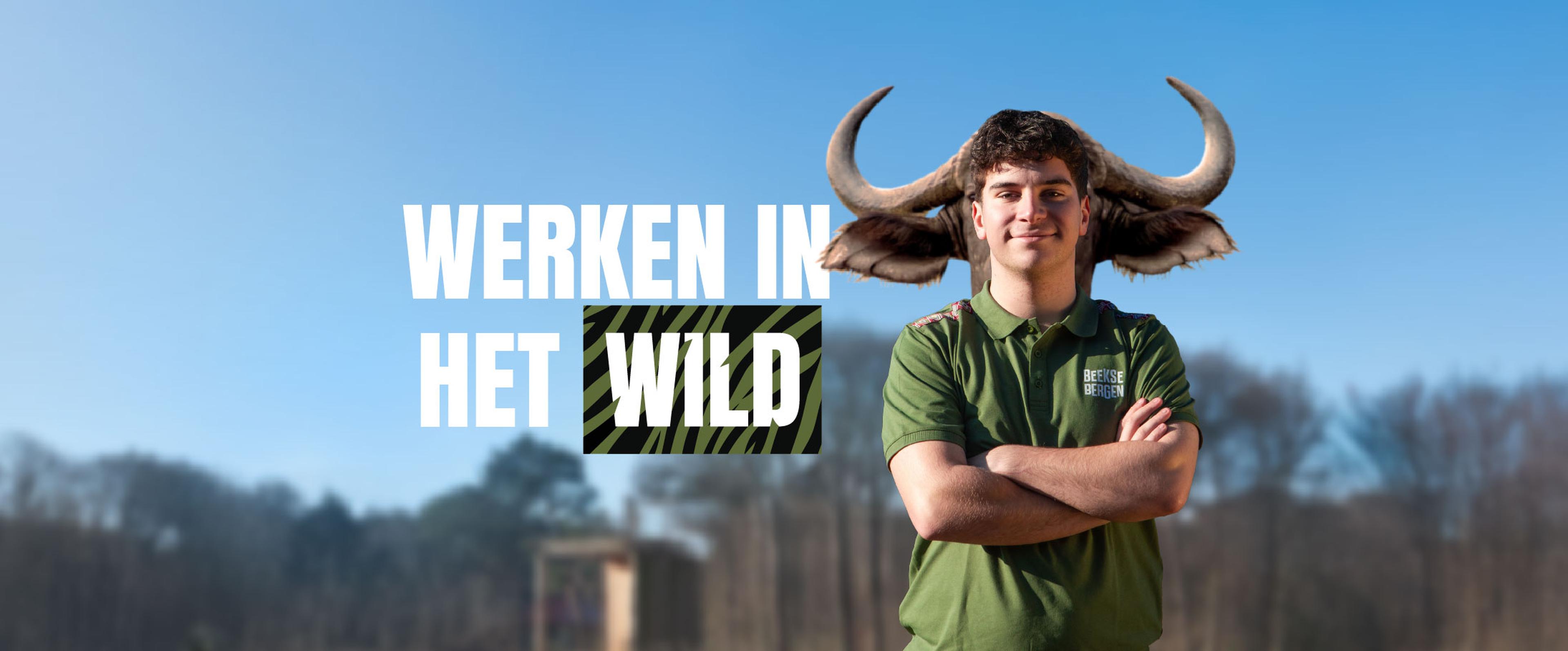Medewerker en buffel in campagne visual 'Werken in het wild'