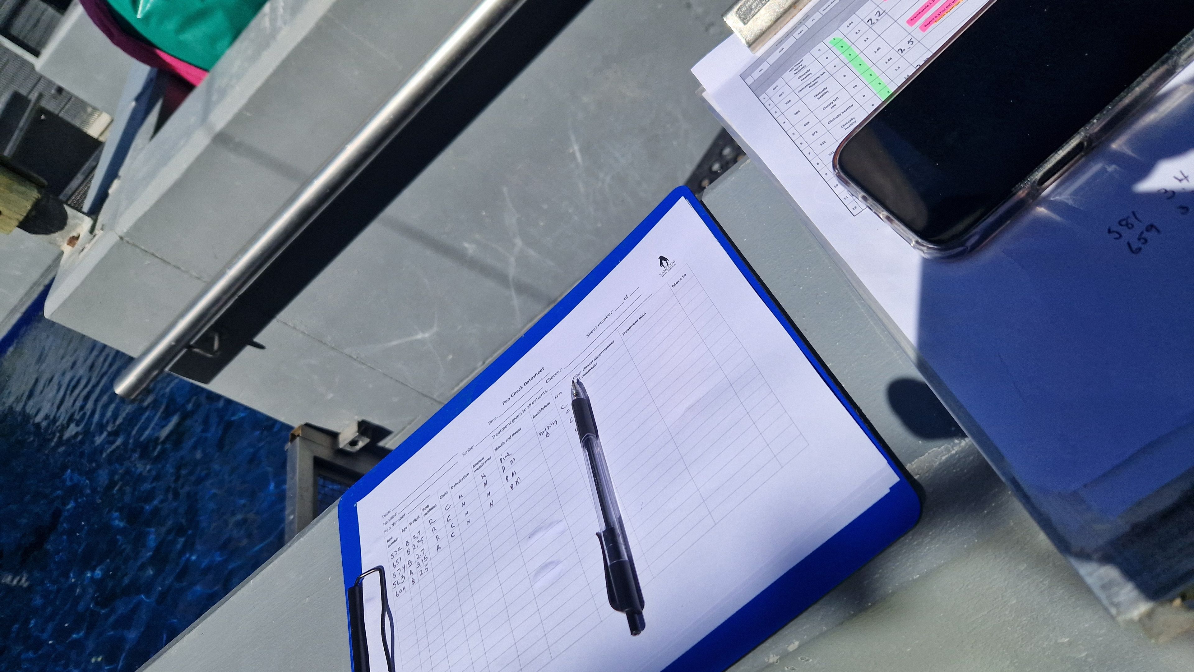 Het werkschema van dierenverzorger Kelly bij SANCCOB in Zuid-Afrika waar ze via werkte via Beekse Bergen.