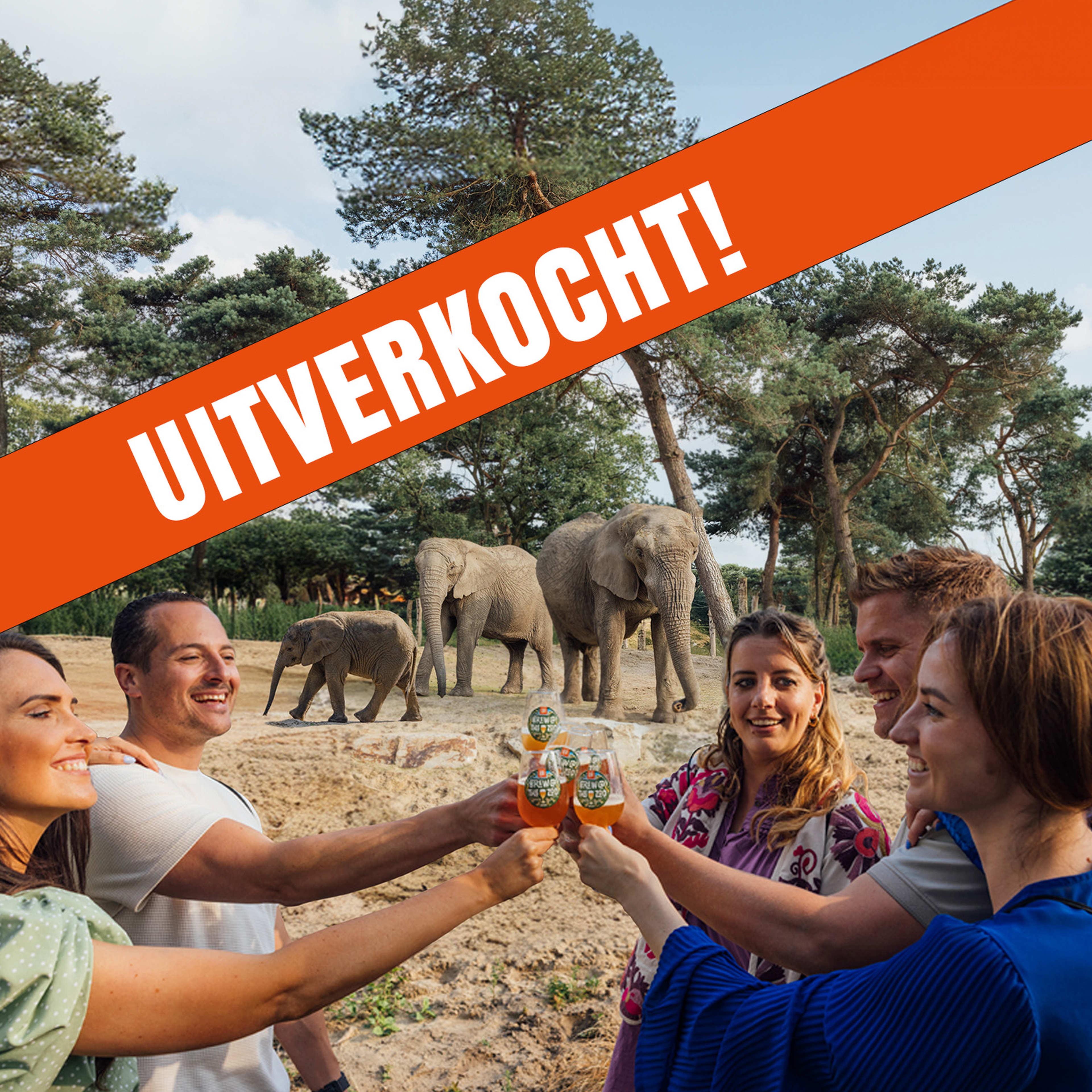 B@TZ uitverkocht bijgesneden Safaripark Beekse Bergen