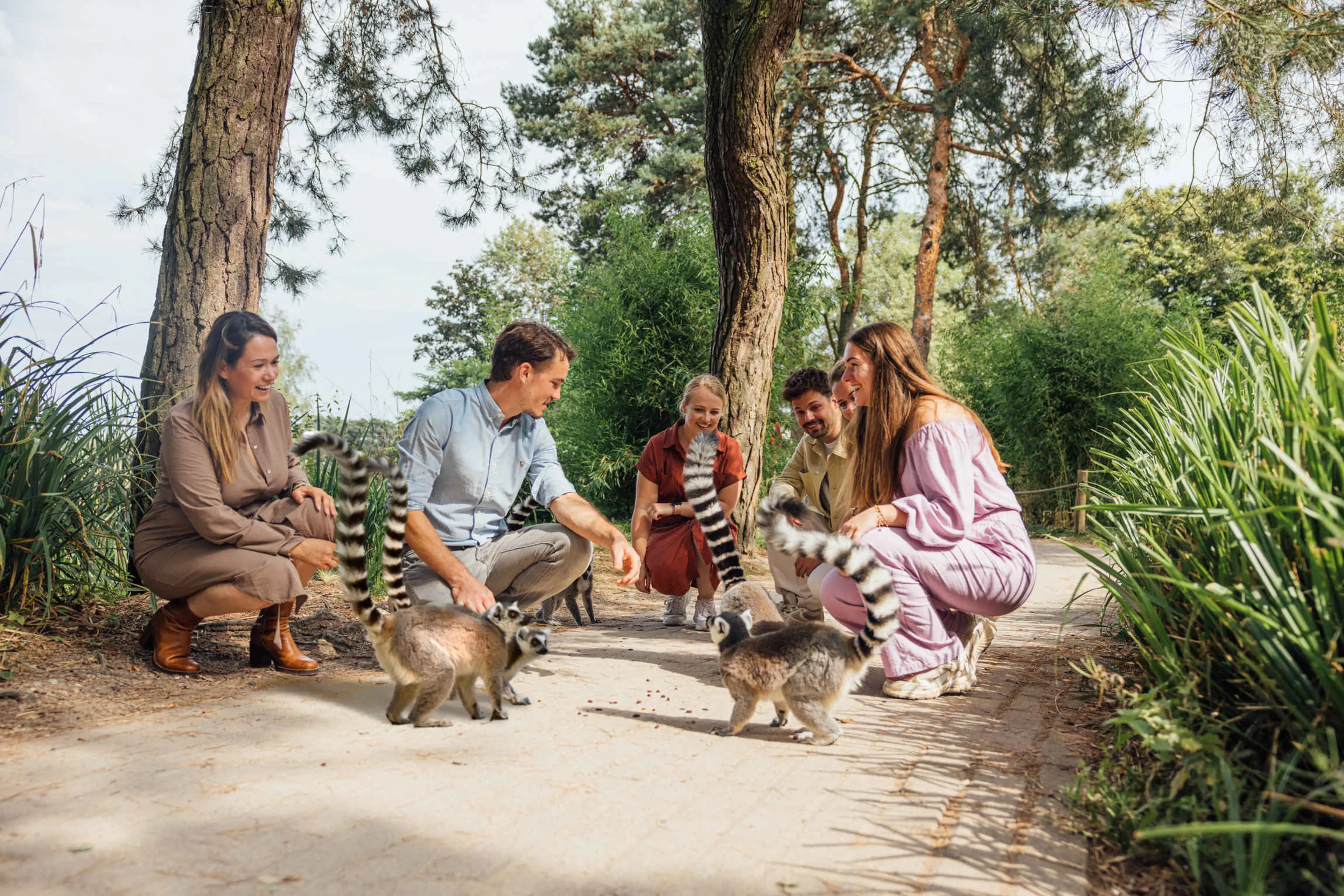 Groep bij de ringstaartmaki's in Safaripark Beekse Bergen
