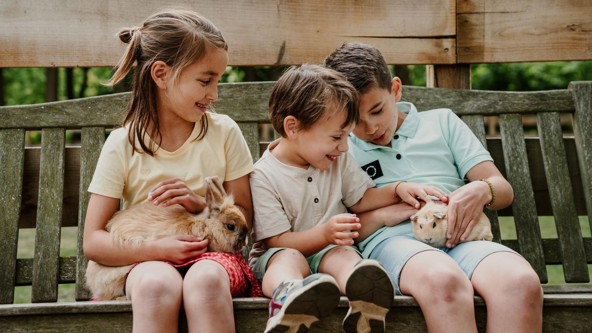 Drie kinderen zitten op een bankje en aaien een cavia en een konijn bij Vakantiepark Dierenbos.