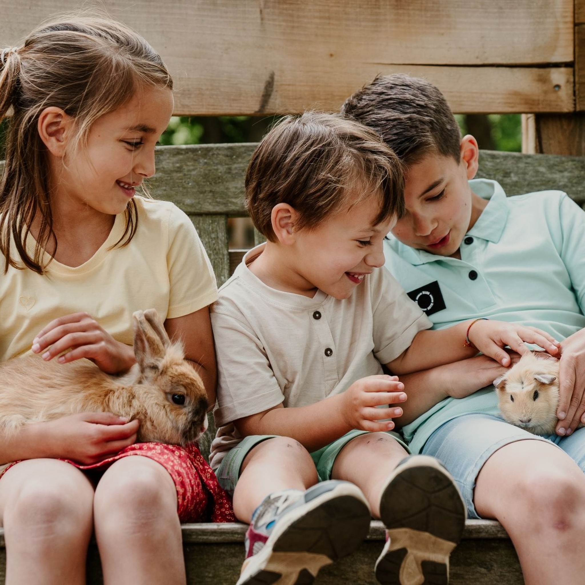Drie kinderen zitten op een bankje en aaien een cavia en een konijn bij Vakantiepark Dierenbos.