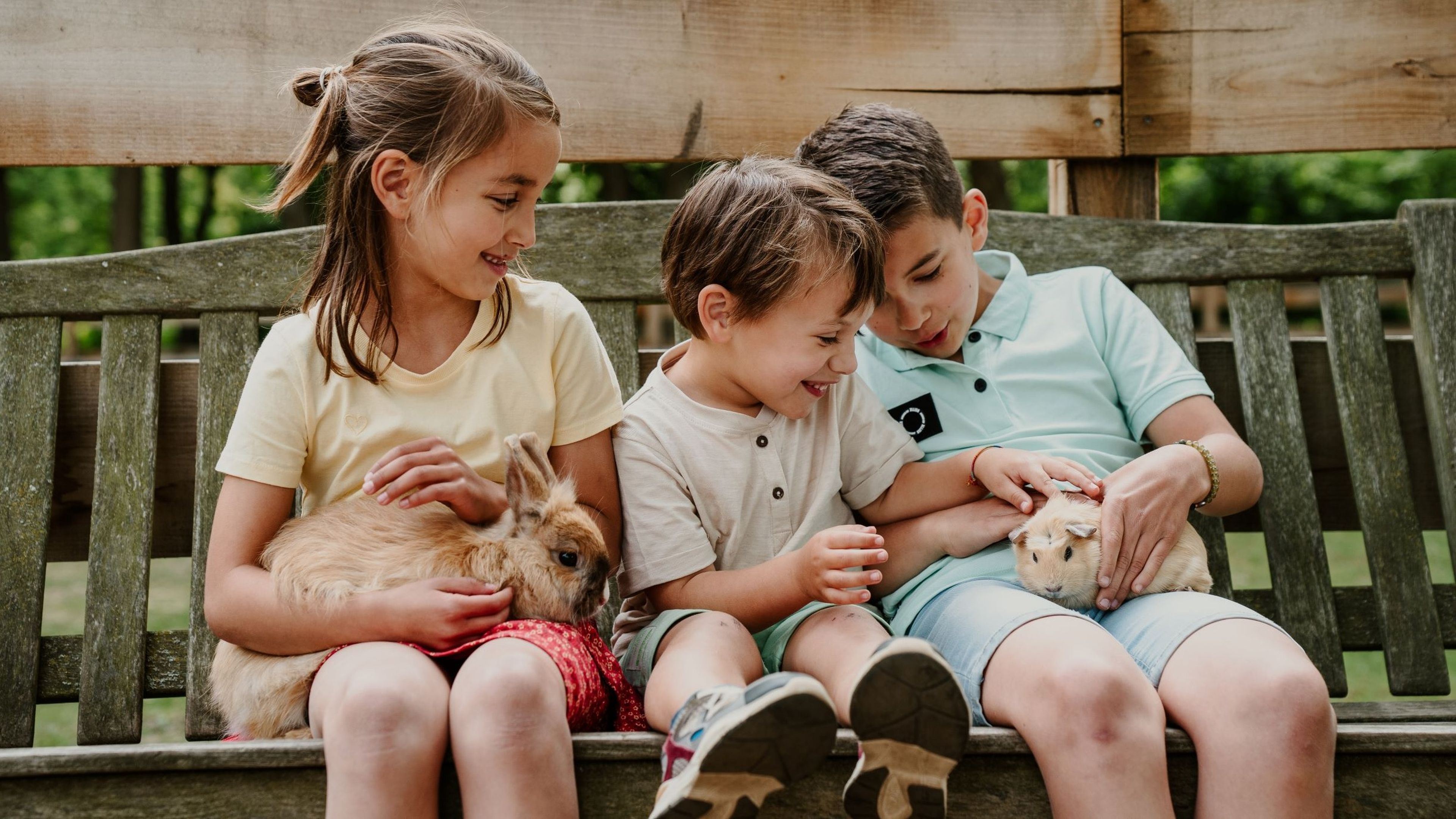 Drie kinderen zitten op een bankje en aaien een cavia en een konijn bij Vakantiepark Dierenbos.