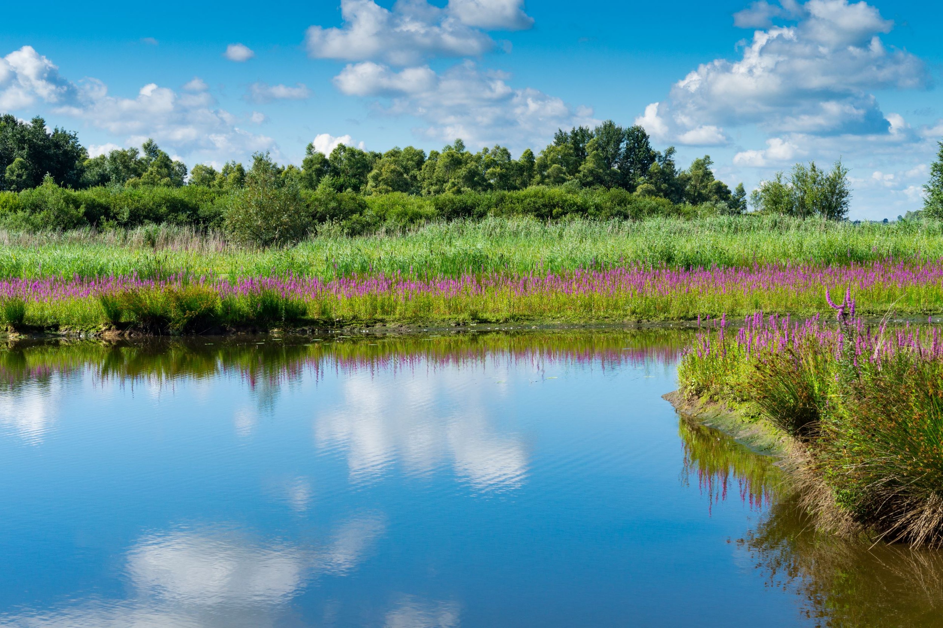 Nationaal park de Biesbosch Kasteel Steenenburg