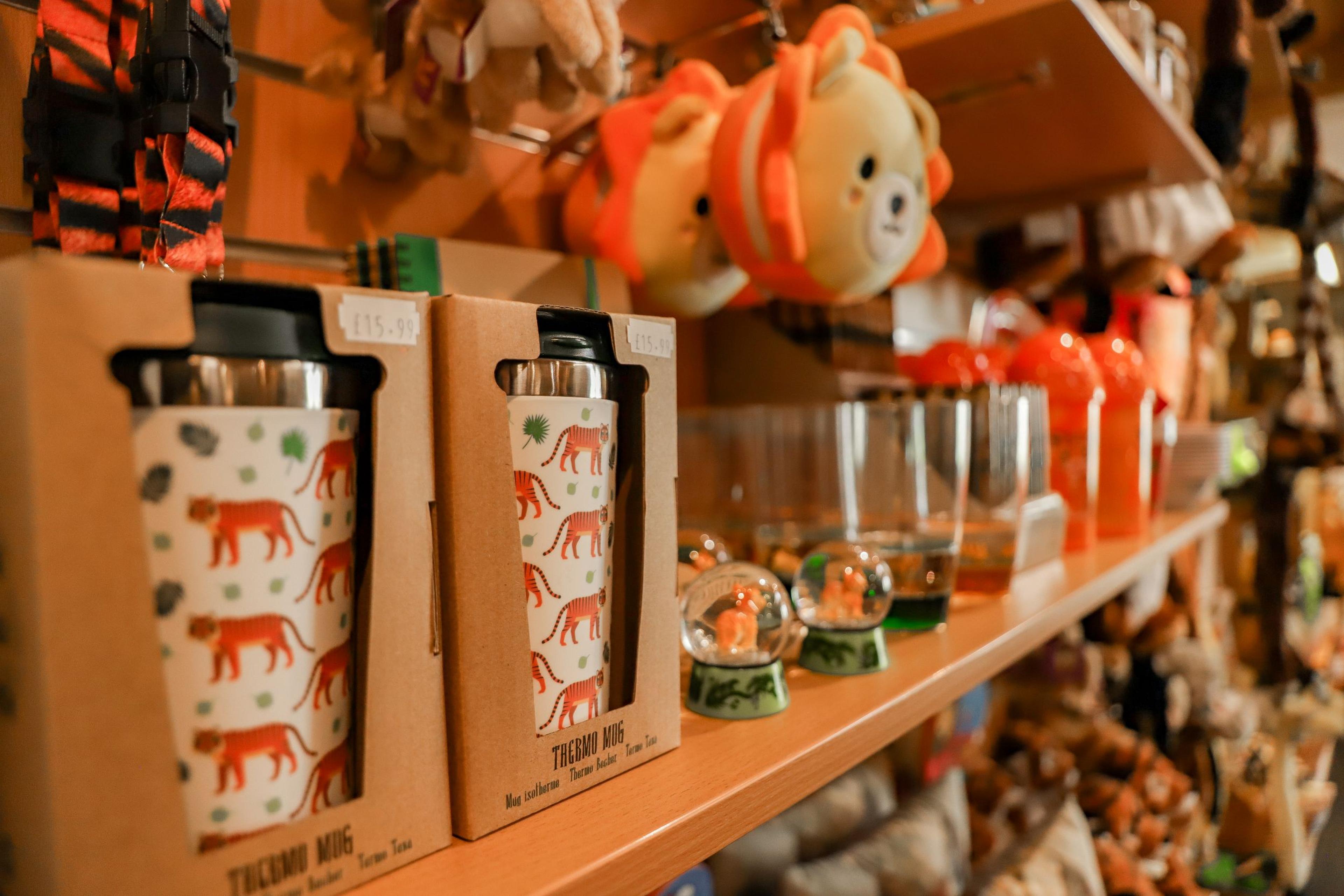 Gift shop display with travel mugs featuring animal designs, plush teddy bears, and decorative glass items on wooden shelves in Newquay Zoo gift shop.