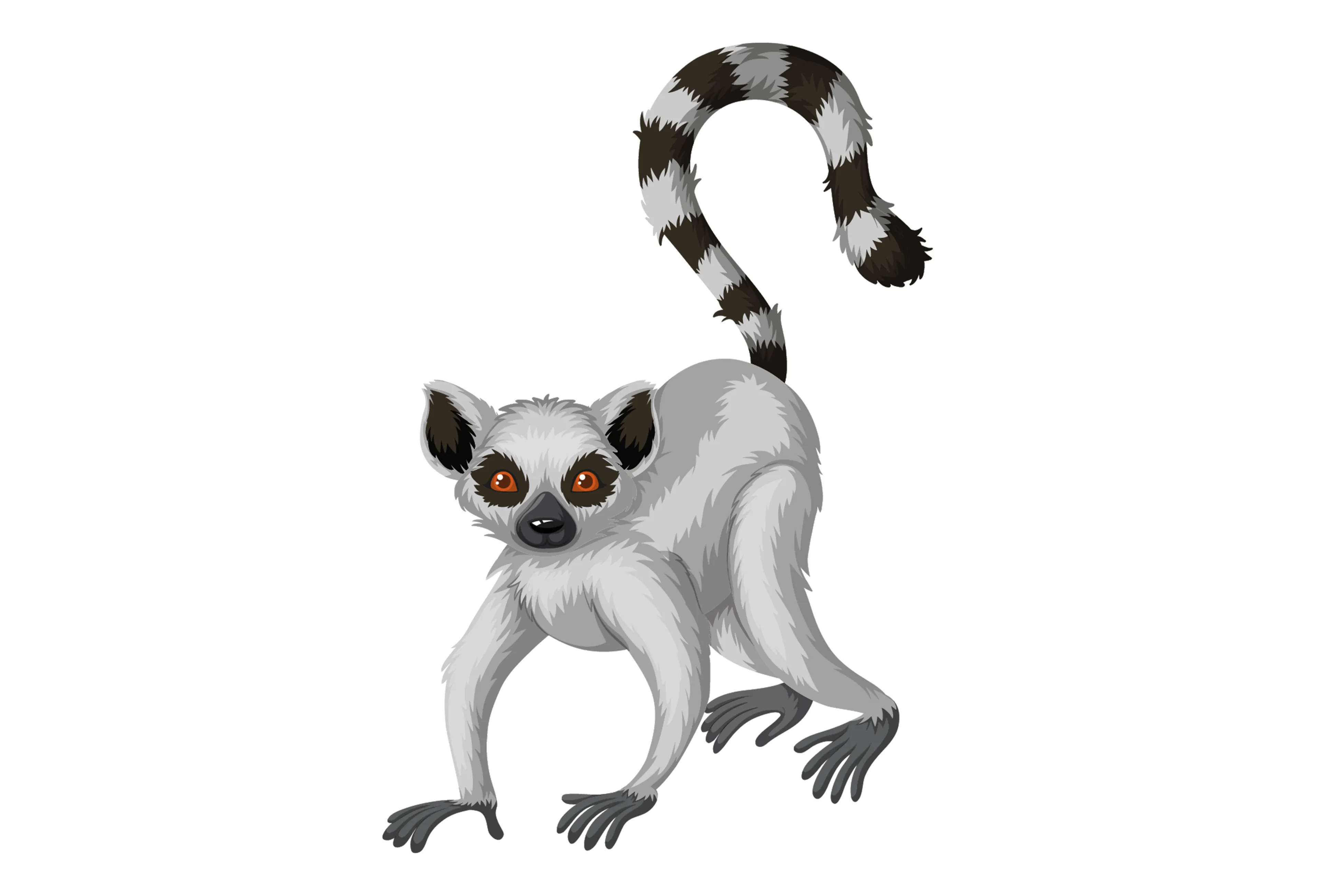 Opdracht 7 Maki paspoort AquaZoo Leeuwarden