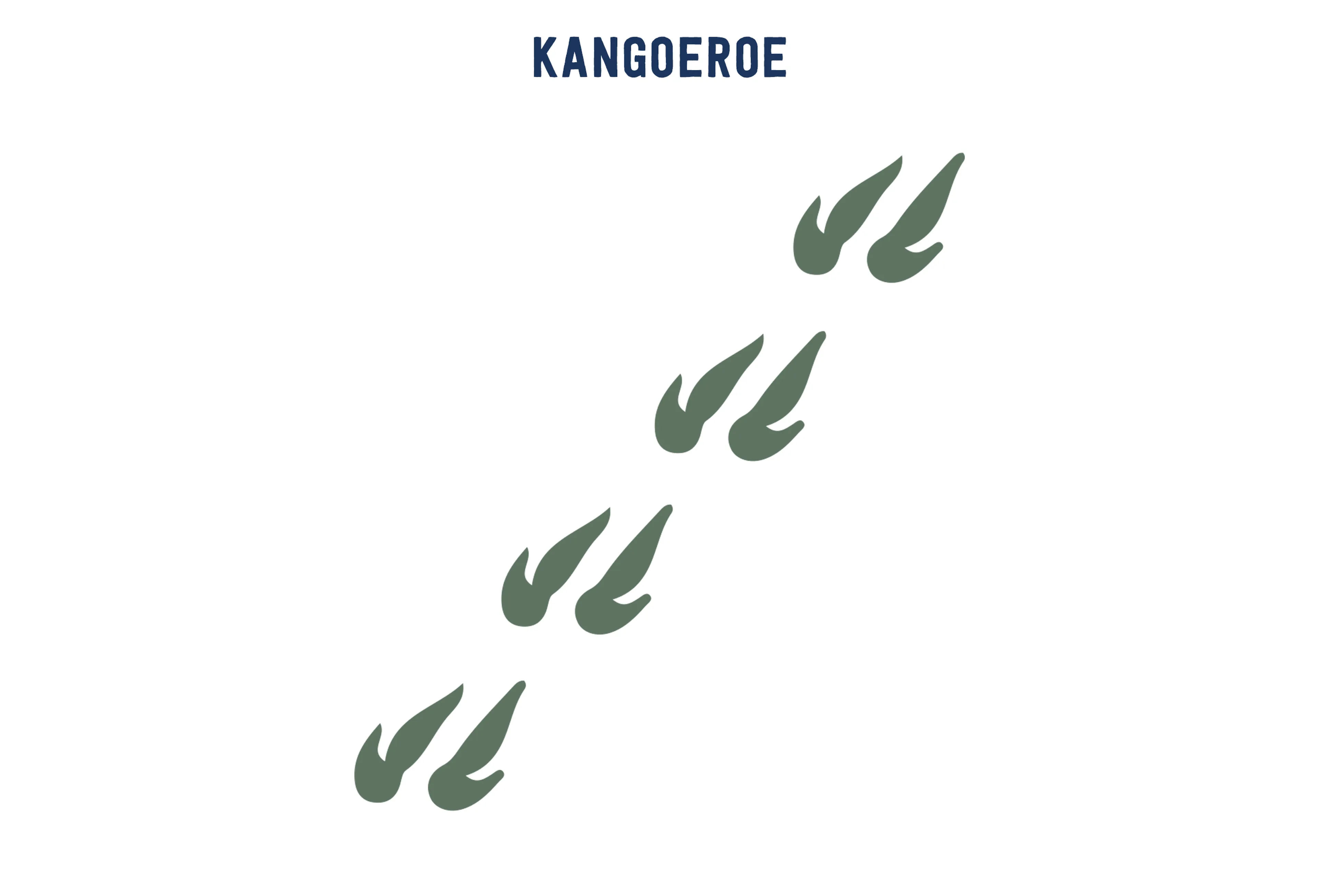 Opdracht 5 kangoeroe sporten paspoort AquaZoo Leeuwarden