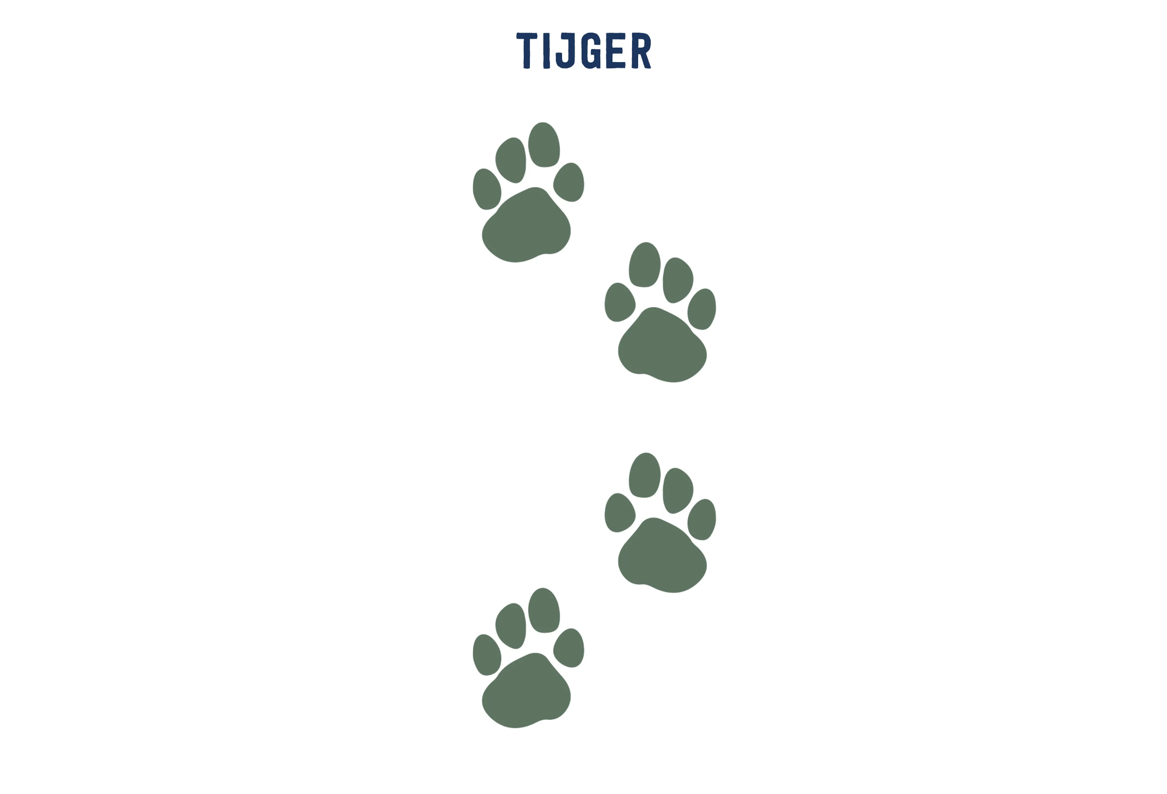 Opdracht 5 tijger sporten paspoort AquaZoo Leeuwarden