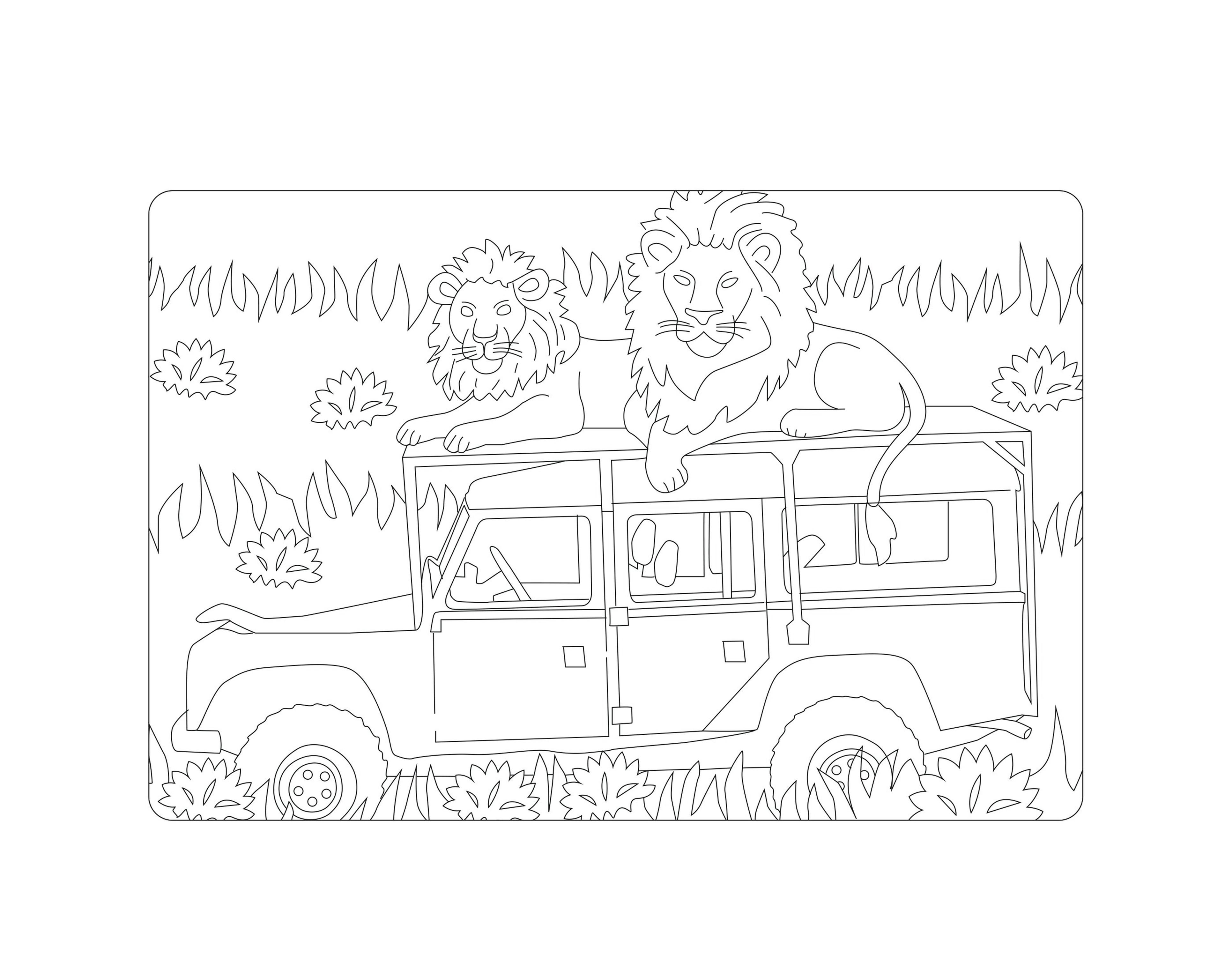 Leeuwen kleurplaat met witte rand ZooParc