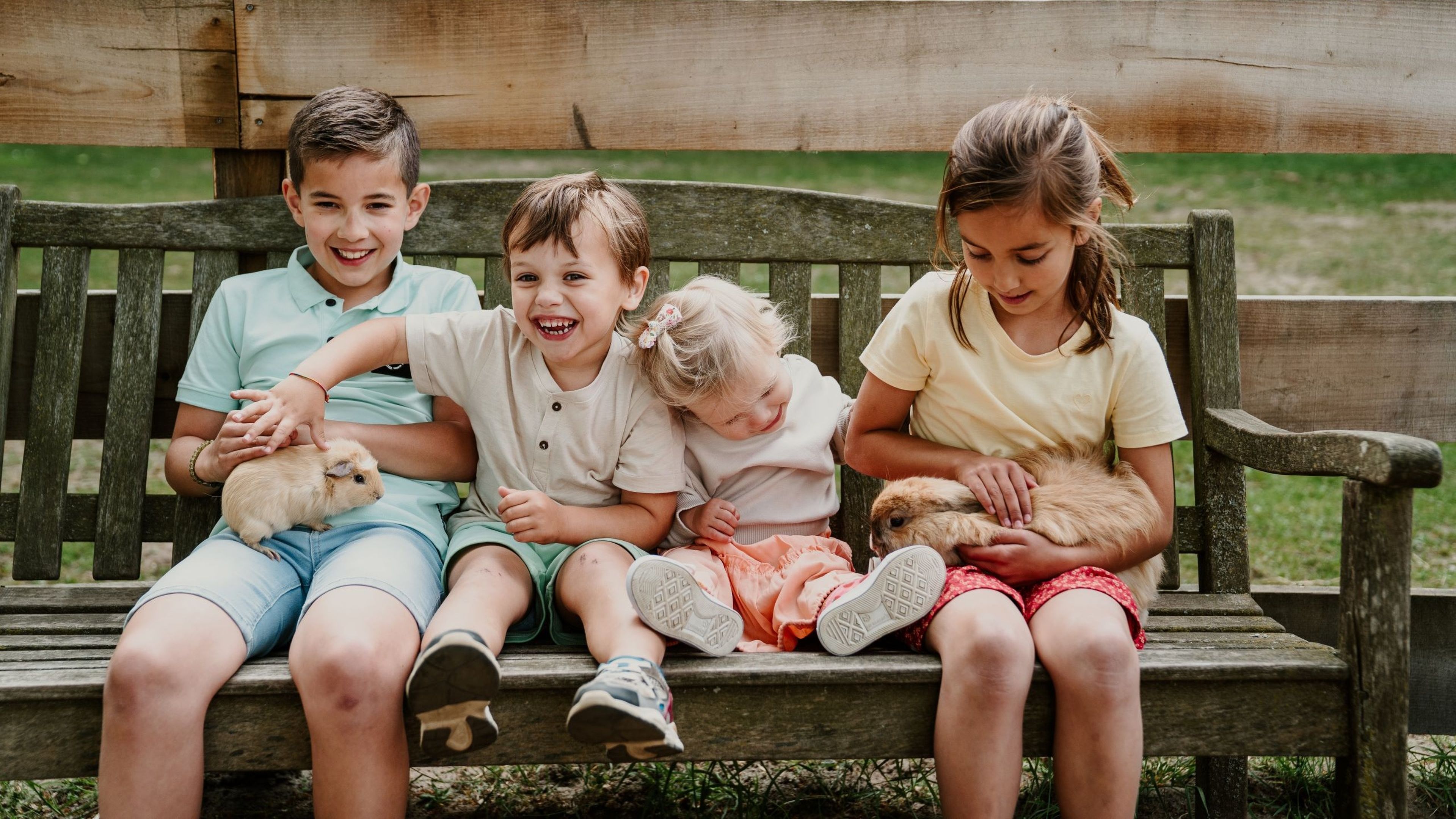 Vier kinderen zitten op een bankje en aaien een konijn en een cavia bij Vakantiepark Dierenbos.
