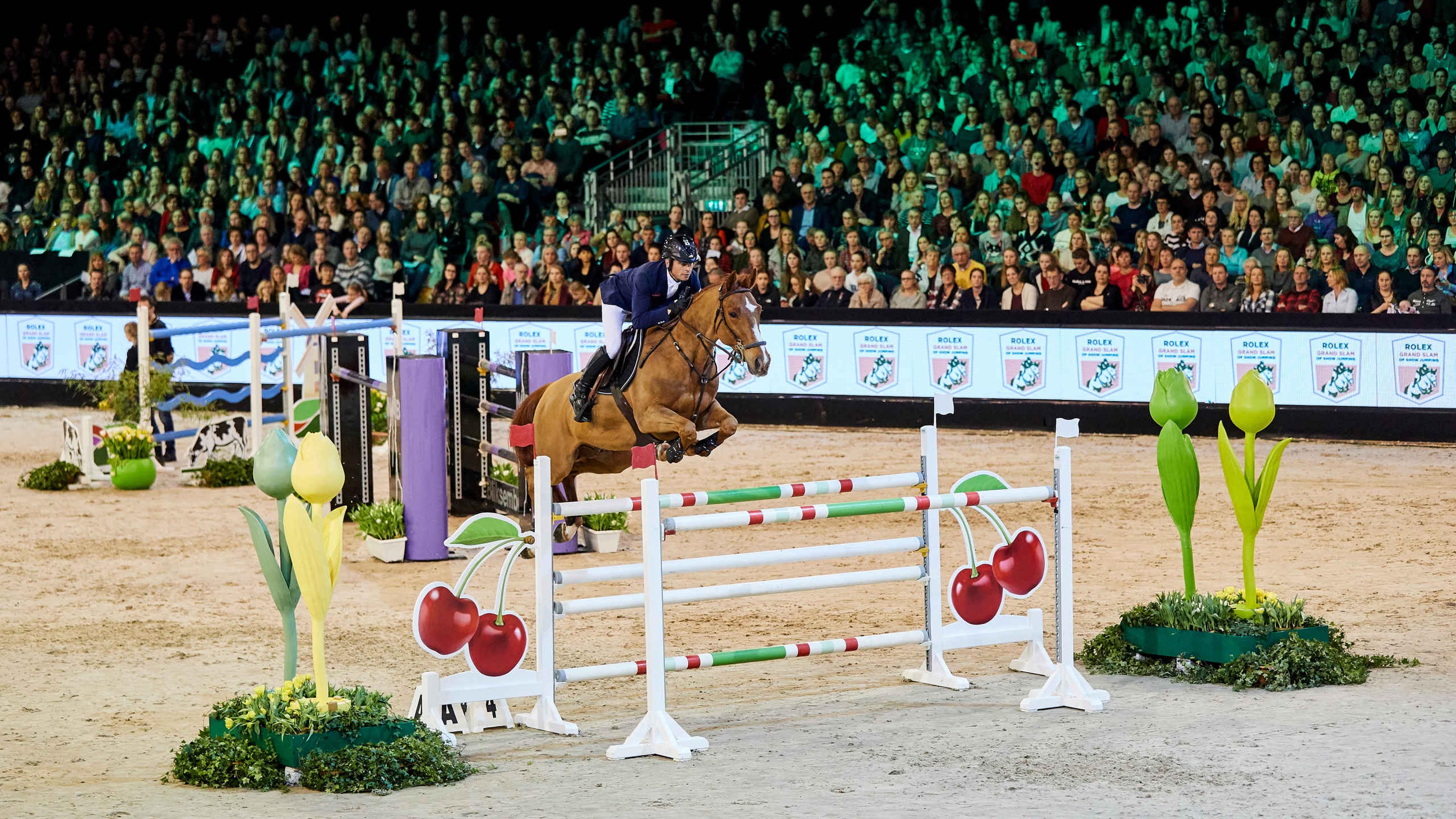 Brabanthallen sport indoor paarden The Dutch Masters van Brabant Indoor B.V.