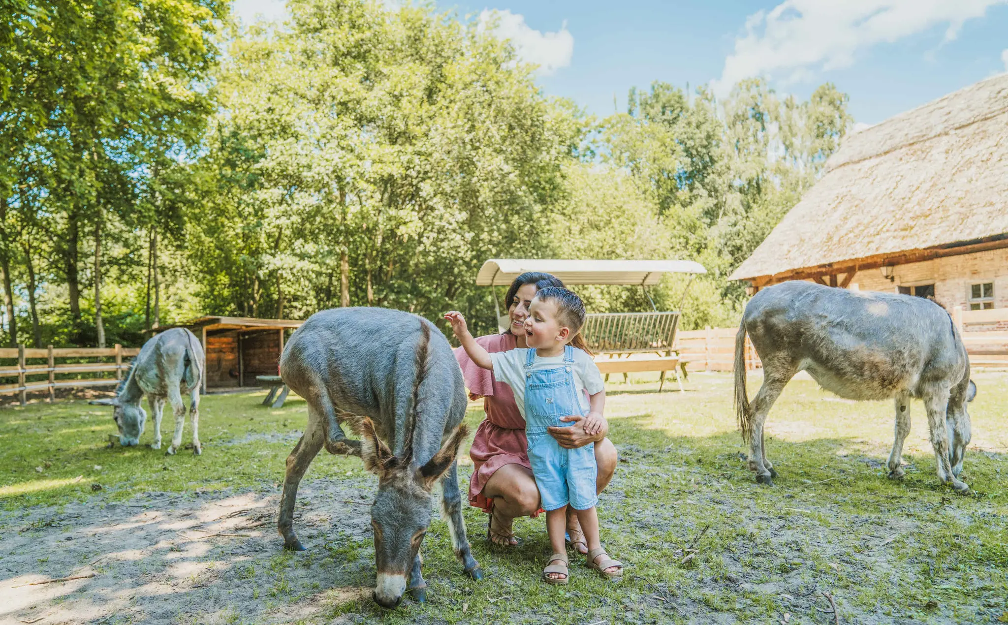 Een moeder en zoon aaien een ezel op de kinderboerderij bij Vakantiepark Dierenbos