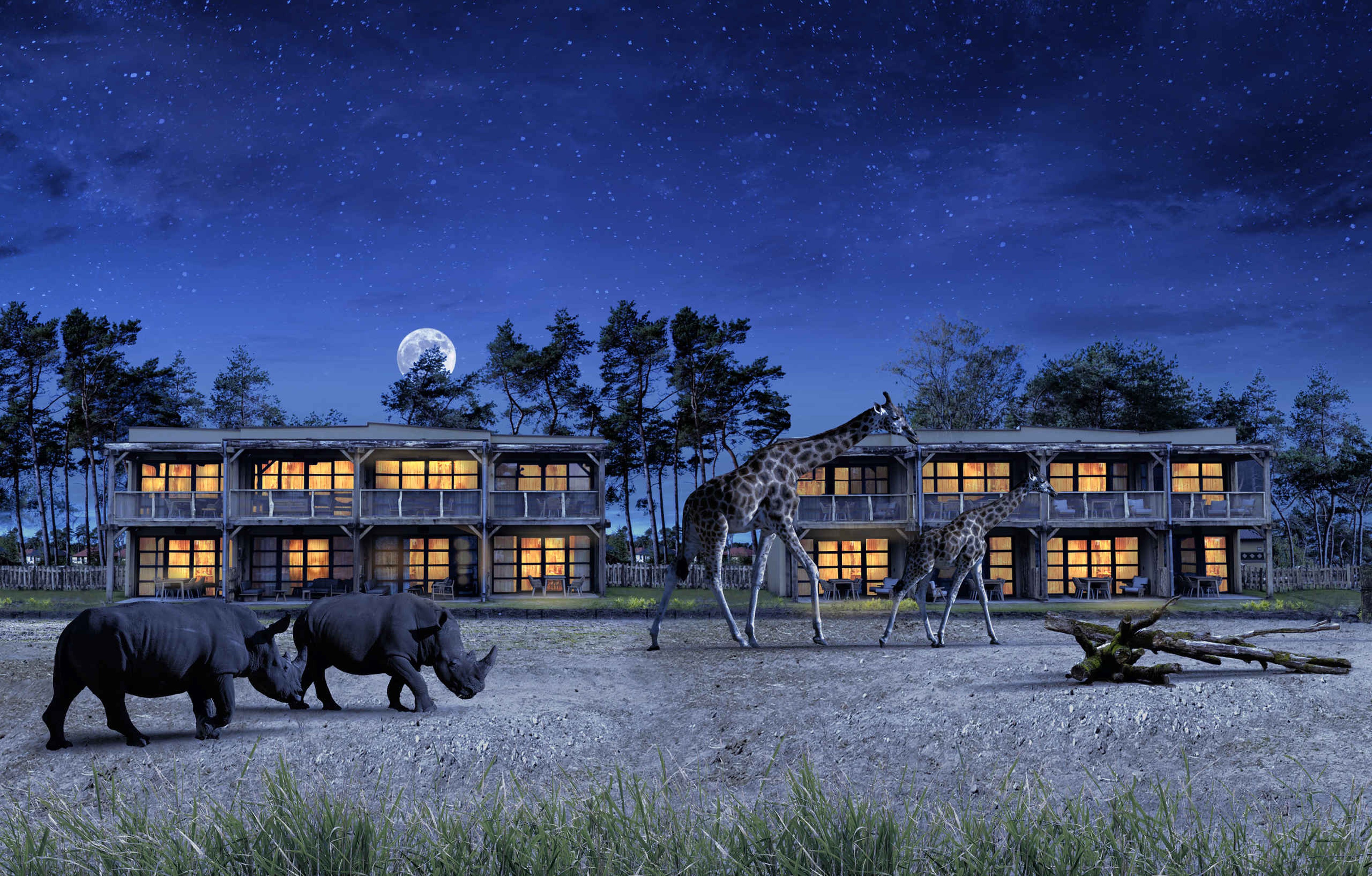 Giraffen en neushoorns bij het Safari Hotel