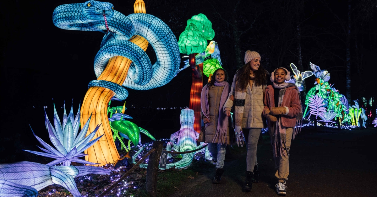 Familie wandelt langs een lichtslang tijdens Light Safari Beekse Bergen