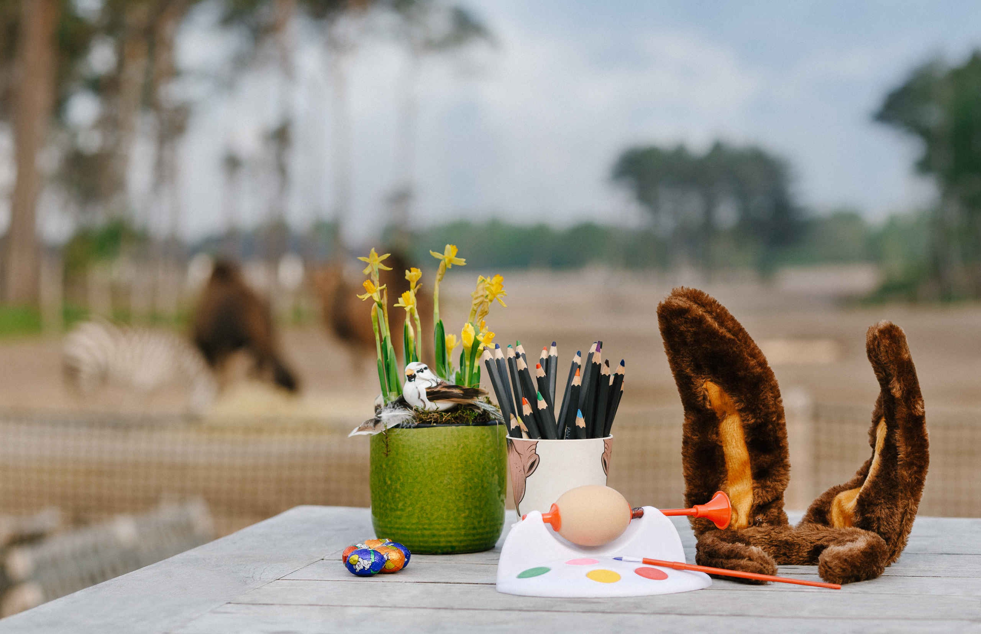 Knutselen met pasen op Safari Resort Beekse Bergen