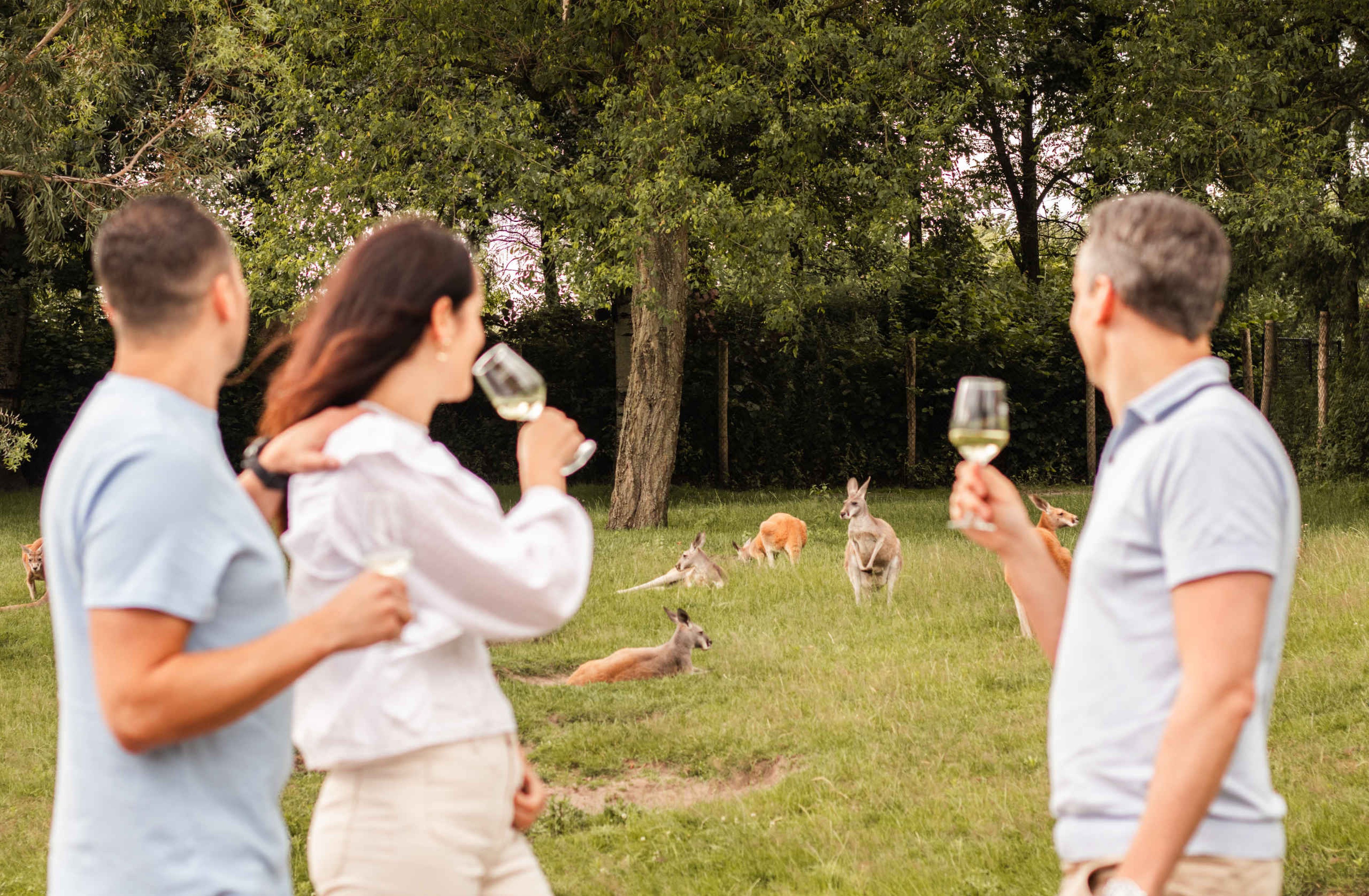 Drie volwassenen tijdens ZooVino kijken naar de kangoeroe's op de Outback in ZooParc Overloon