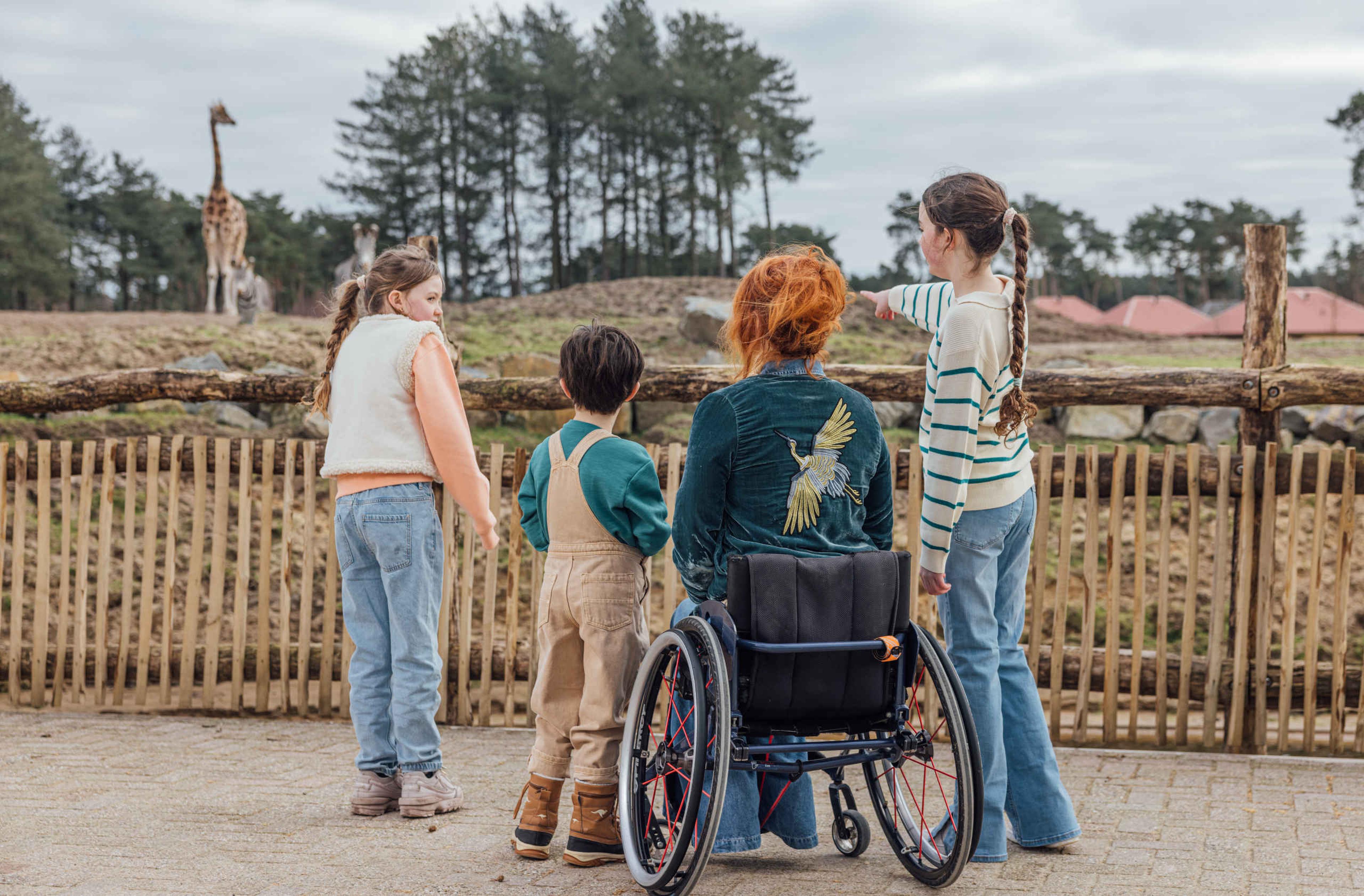 Een gezin kijkt naar de giraffen bij Safaripark Beekse Bergen.