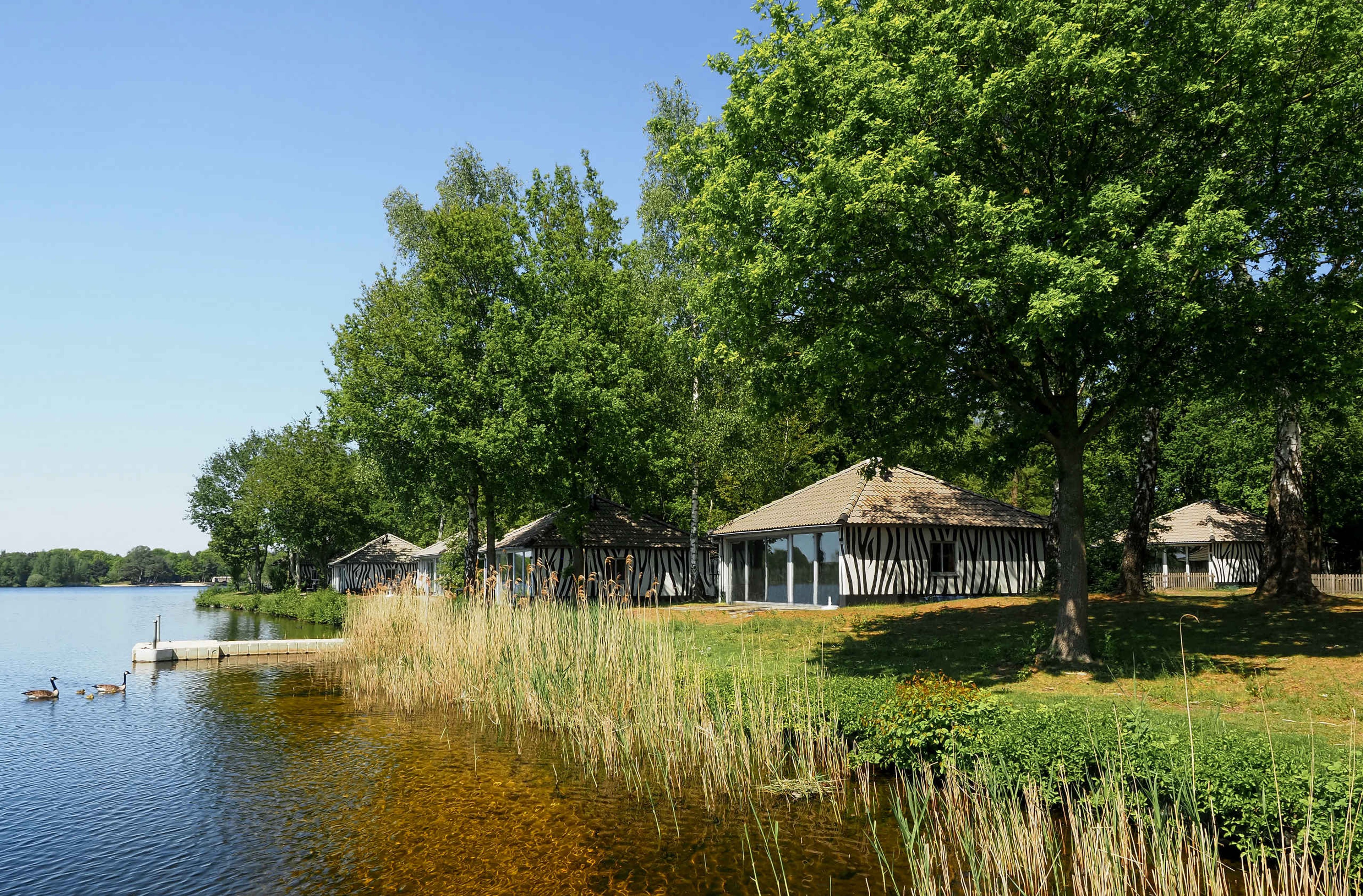 Kidsjungalow zebra aan het Victoriameer bij Lake Resort Beekse Bergen
