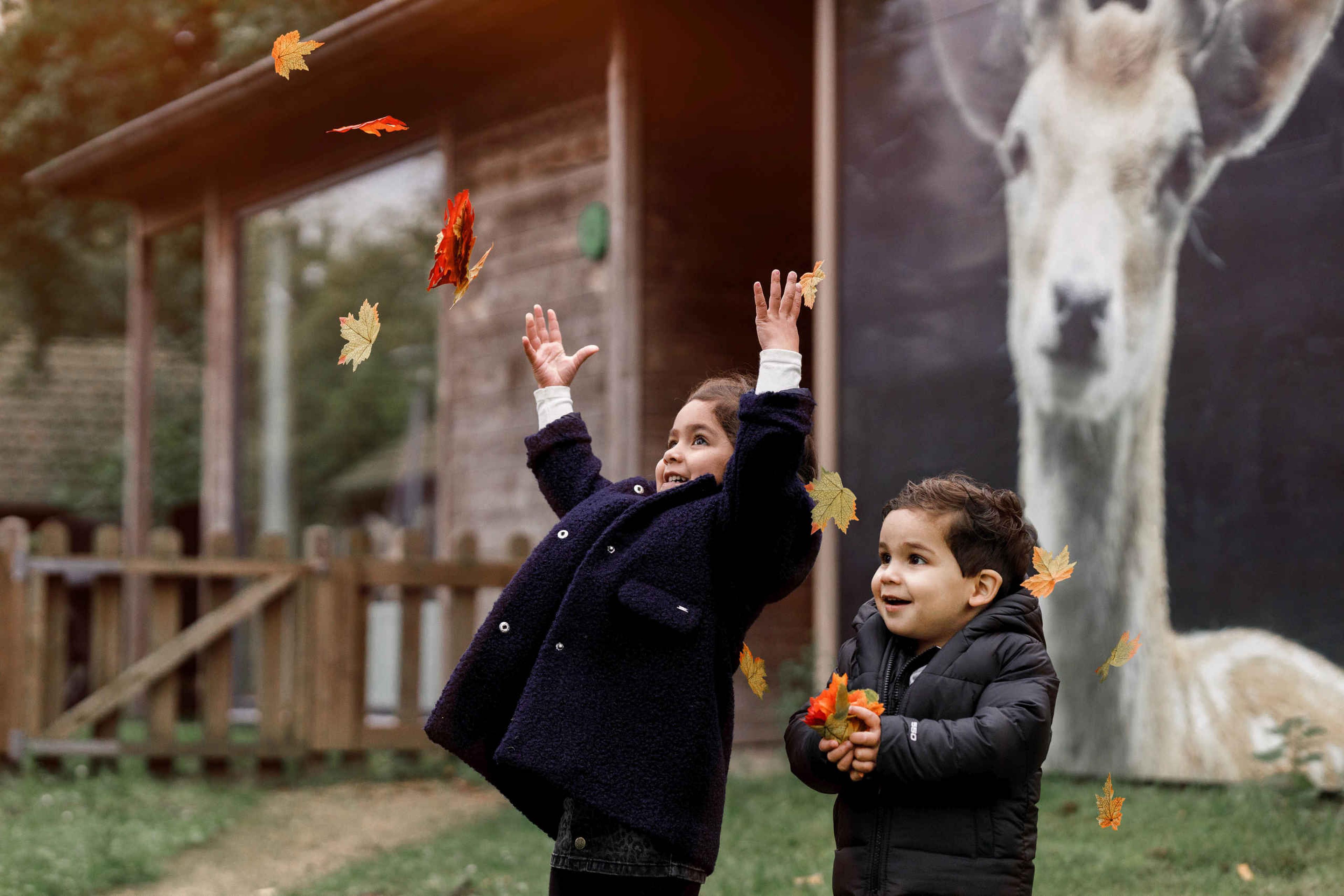 Kinderen spelen met herfstbladeren op Vakantiepark Dierenbos