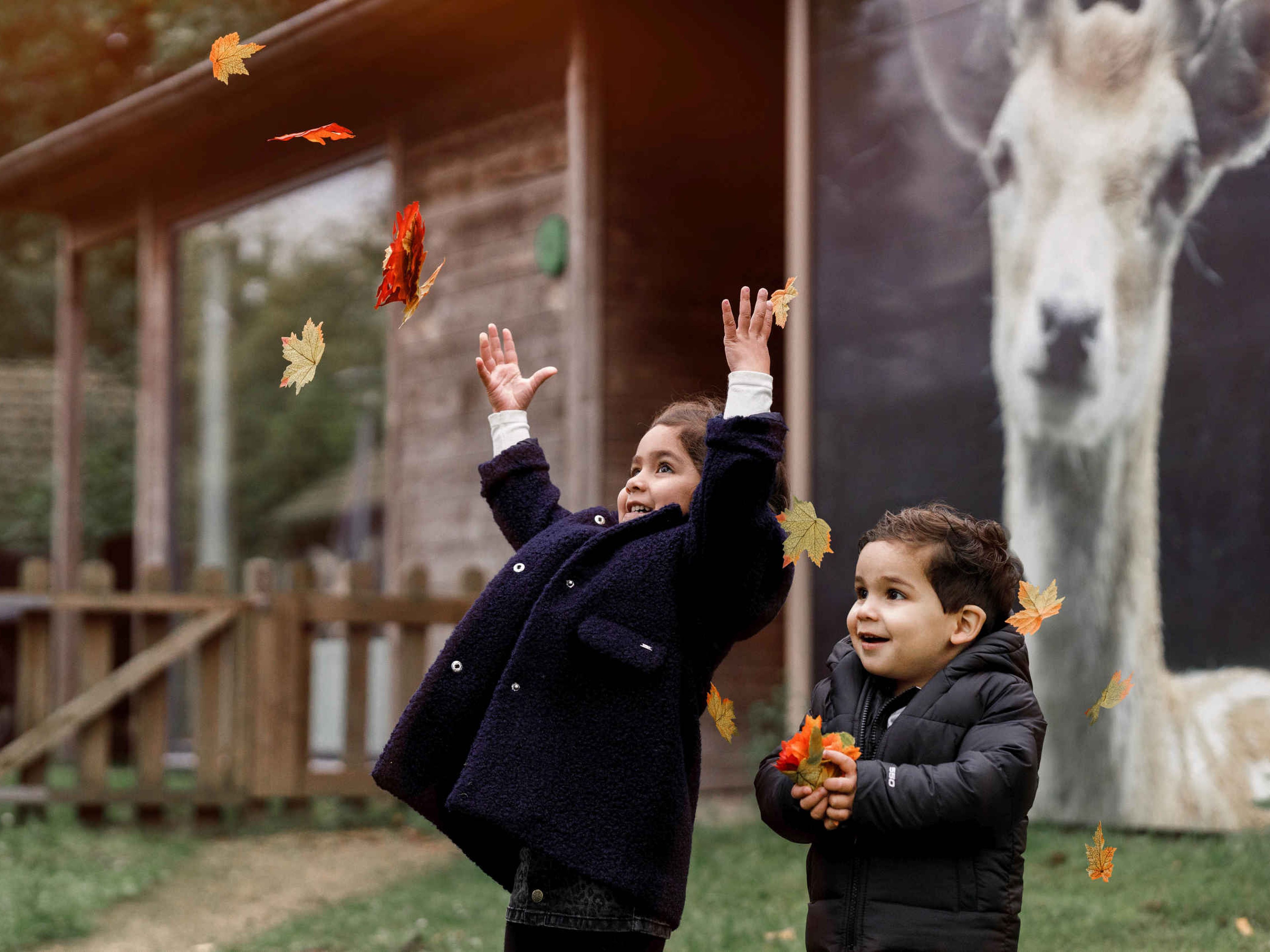 Kinderen spelen met herfstbladeren op Vakantiepark Dierenbos