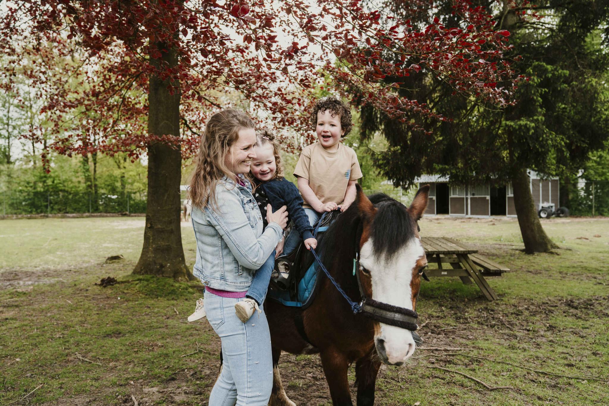 Moeder met haar kinderen bij een paard op Vakantiepark Dierenbos