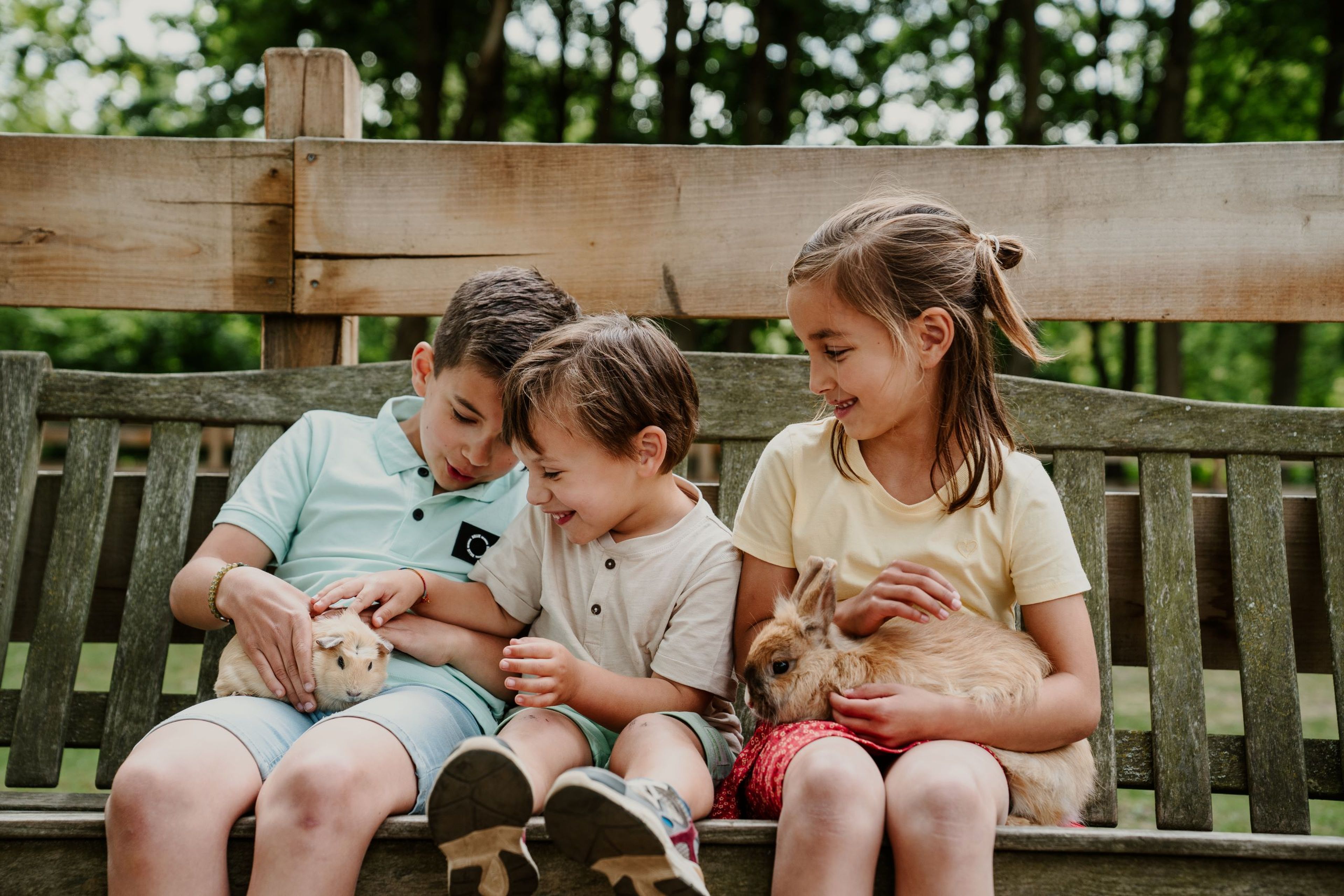 Drie kinderen zitten op een bankje en aaien een cavia en een konijn bij Vakantiepark Dierenbos.