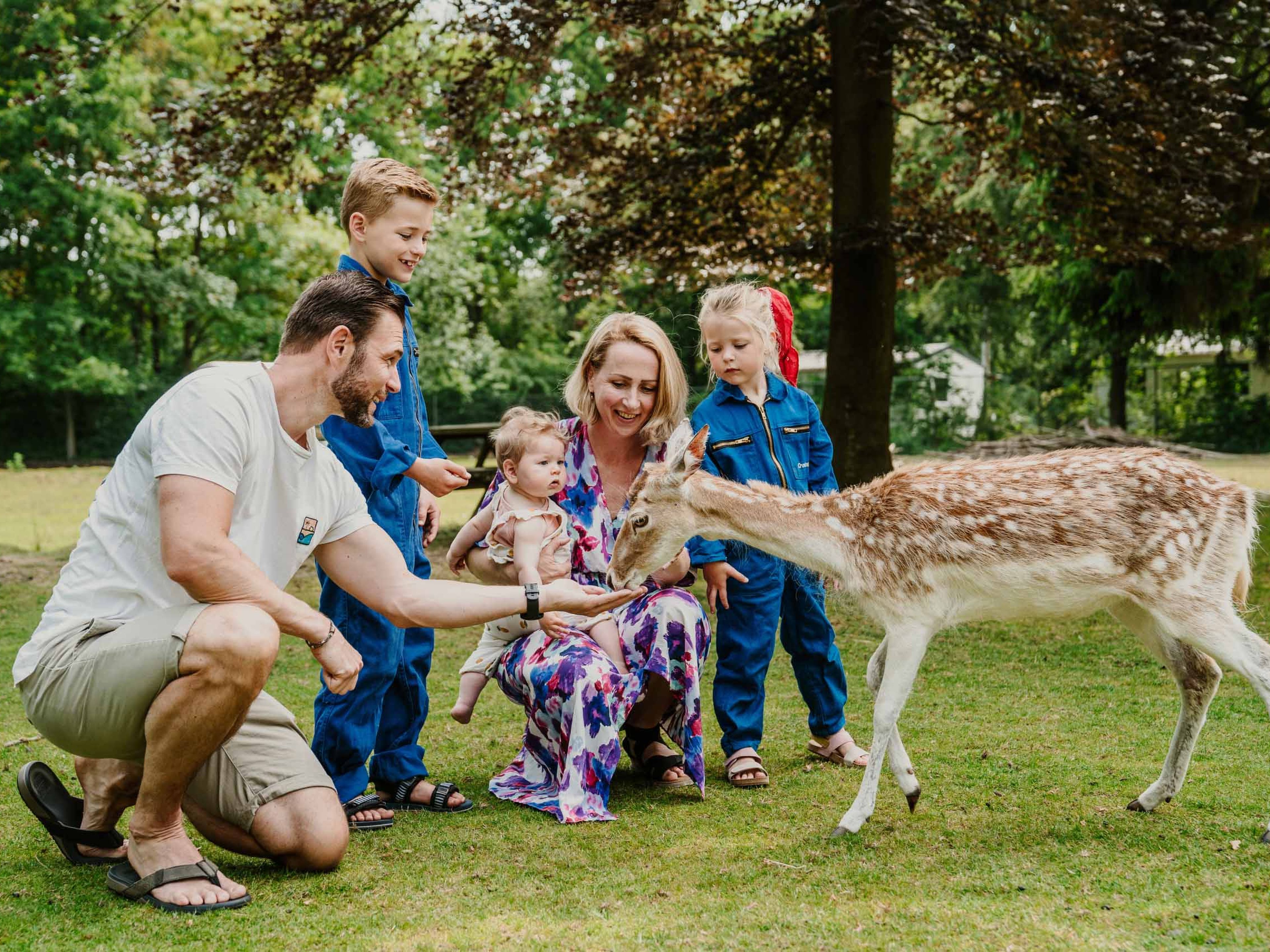 Gezin met kinderen voert een hert in de kinderboerderij van Vakantiepark Dierenbos