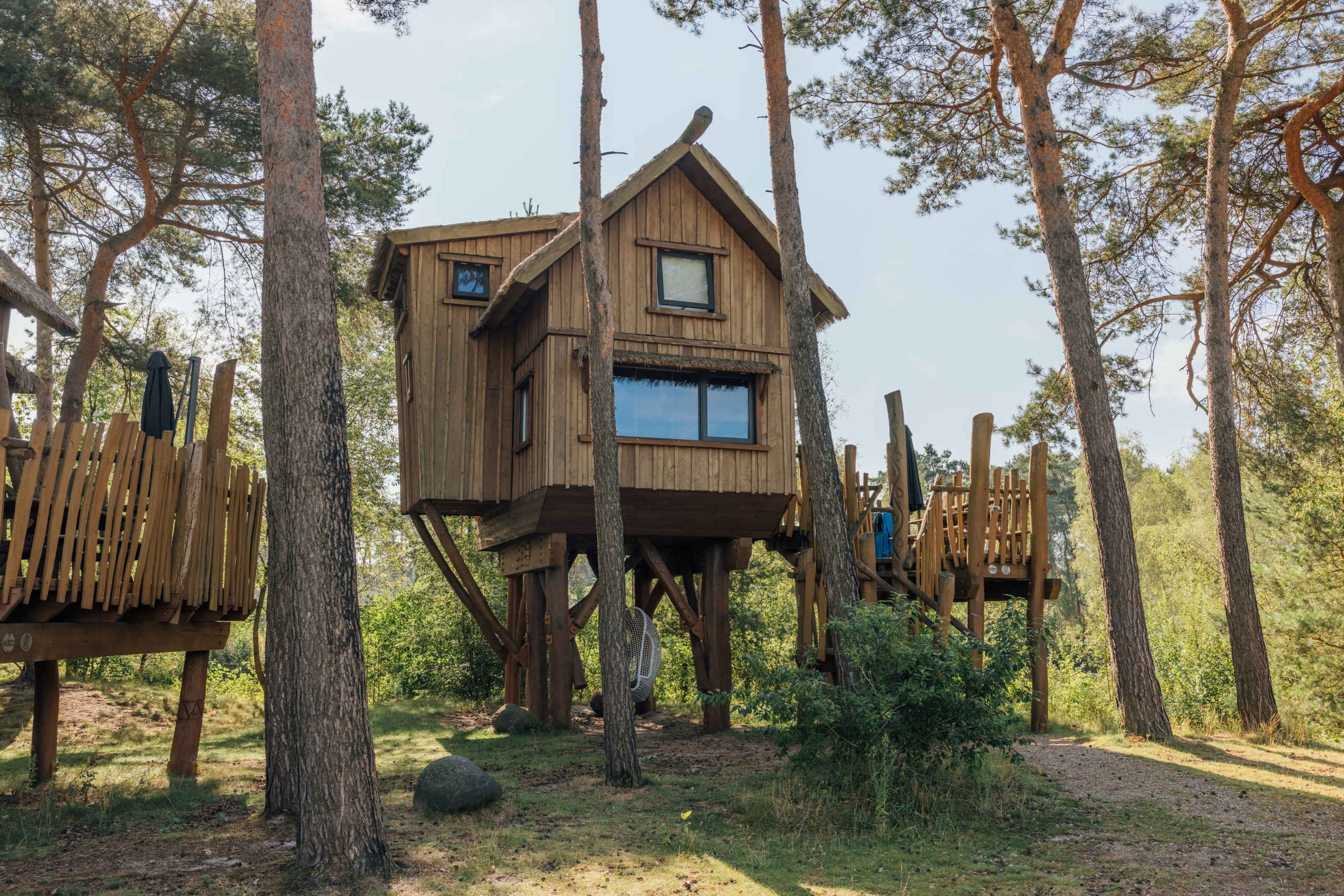 Boomhut op Safari Resort Beekse Bergen
