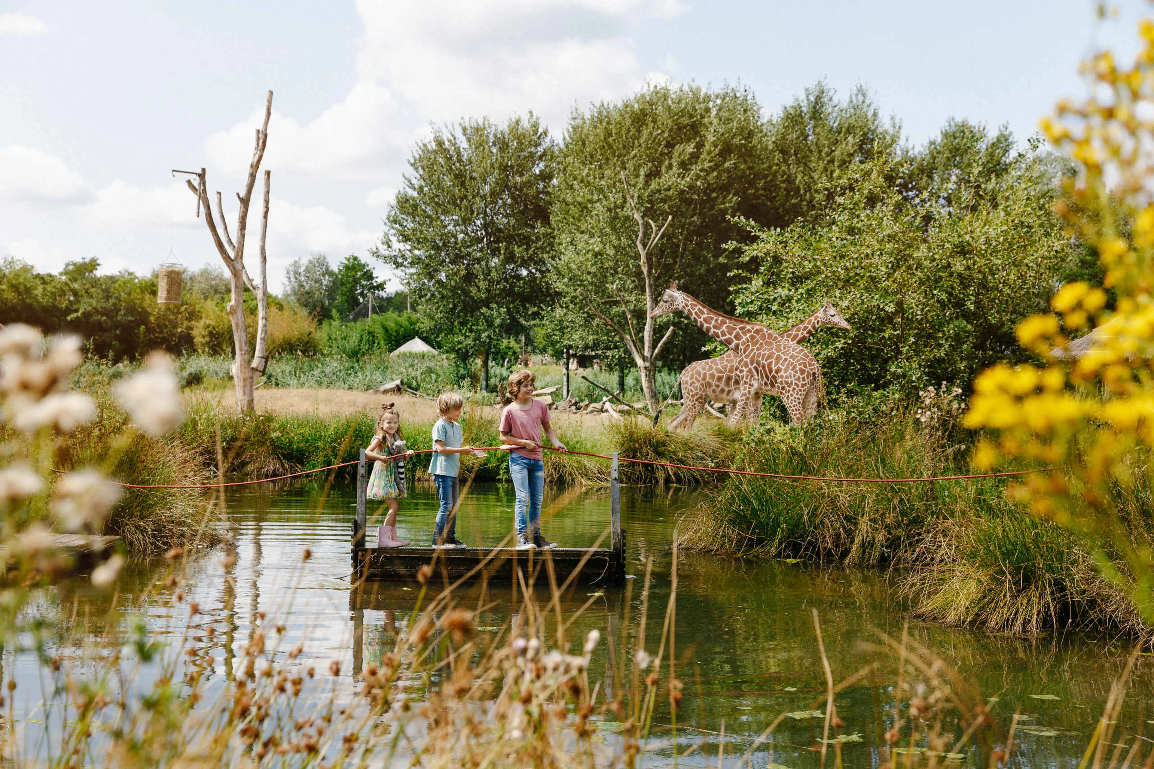 Kinderen op een vlot bij de giraffes in ZooParc Overloon, de dierentuin gelegen in Brabant