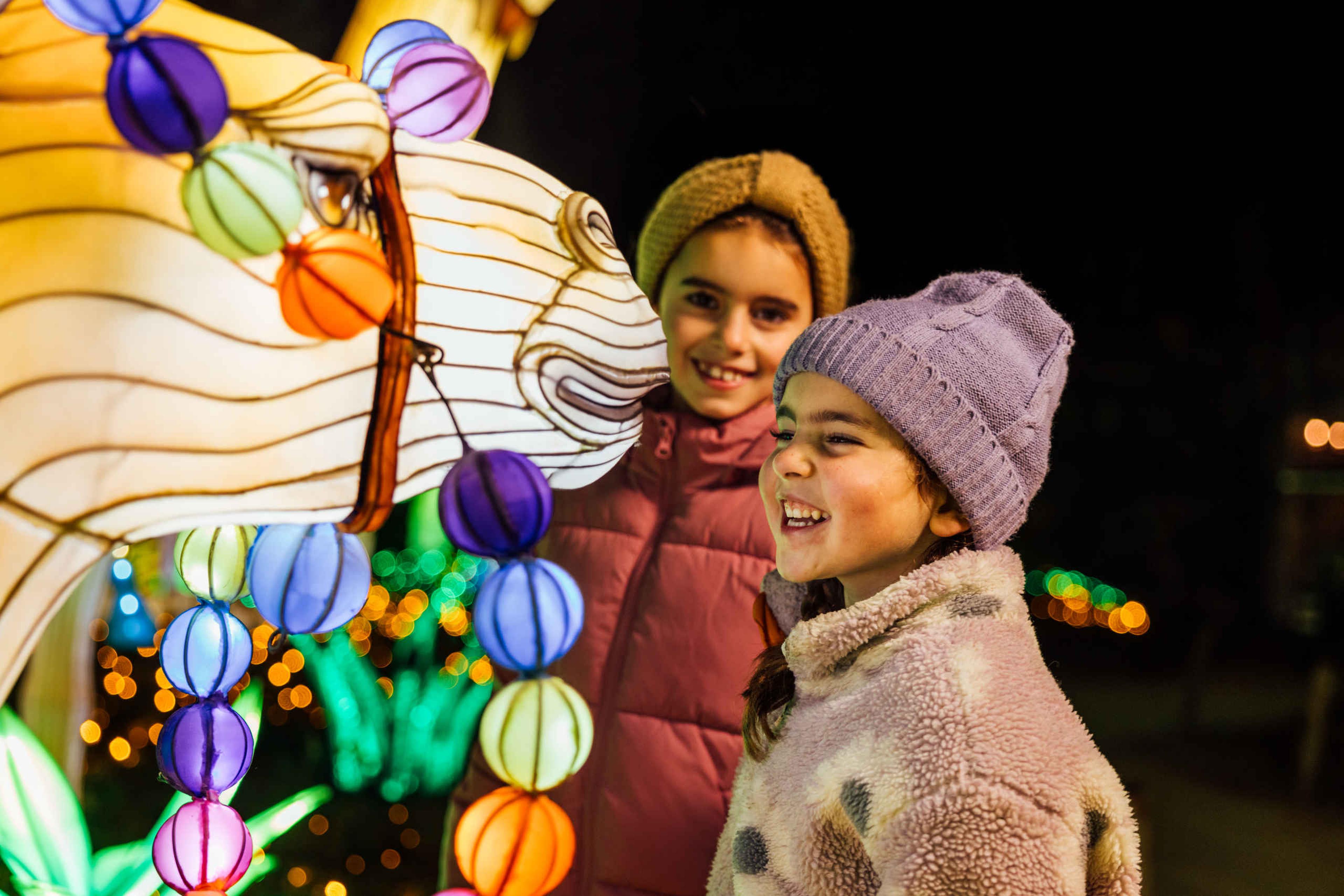 Meisjes bij kameel lichtfiguren in Light Safari Beekse Bergen