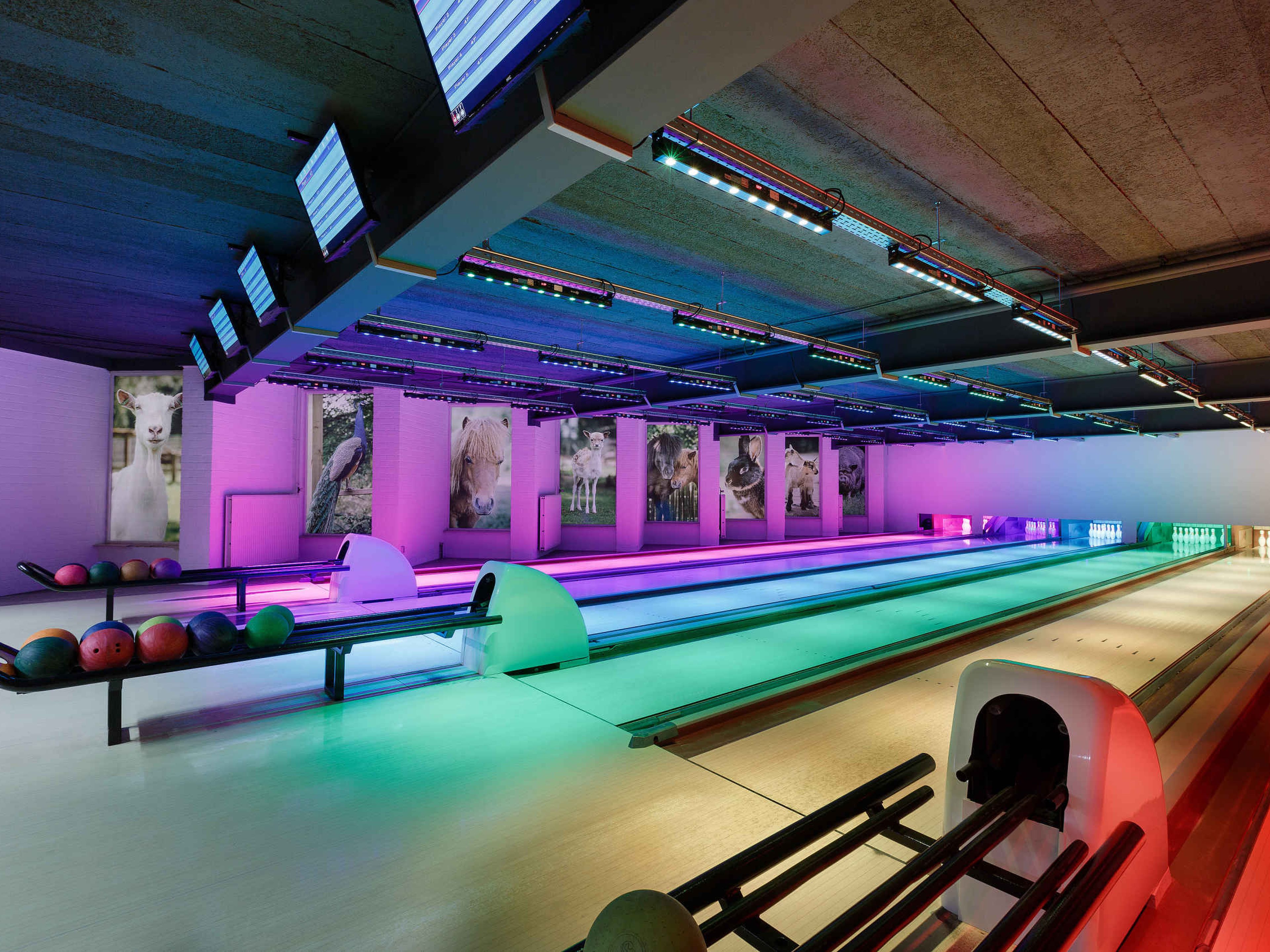 Overzicht van de bowlingbaan bij Vakantiepark Dierenbos