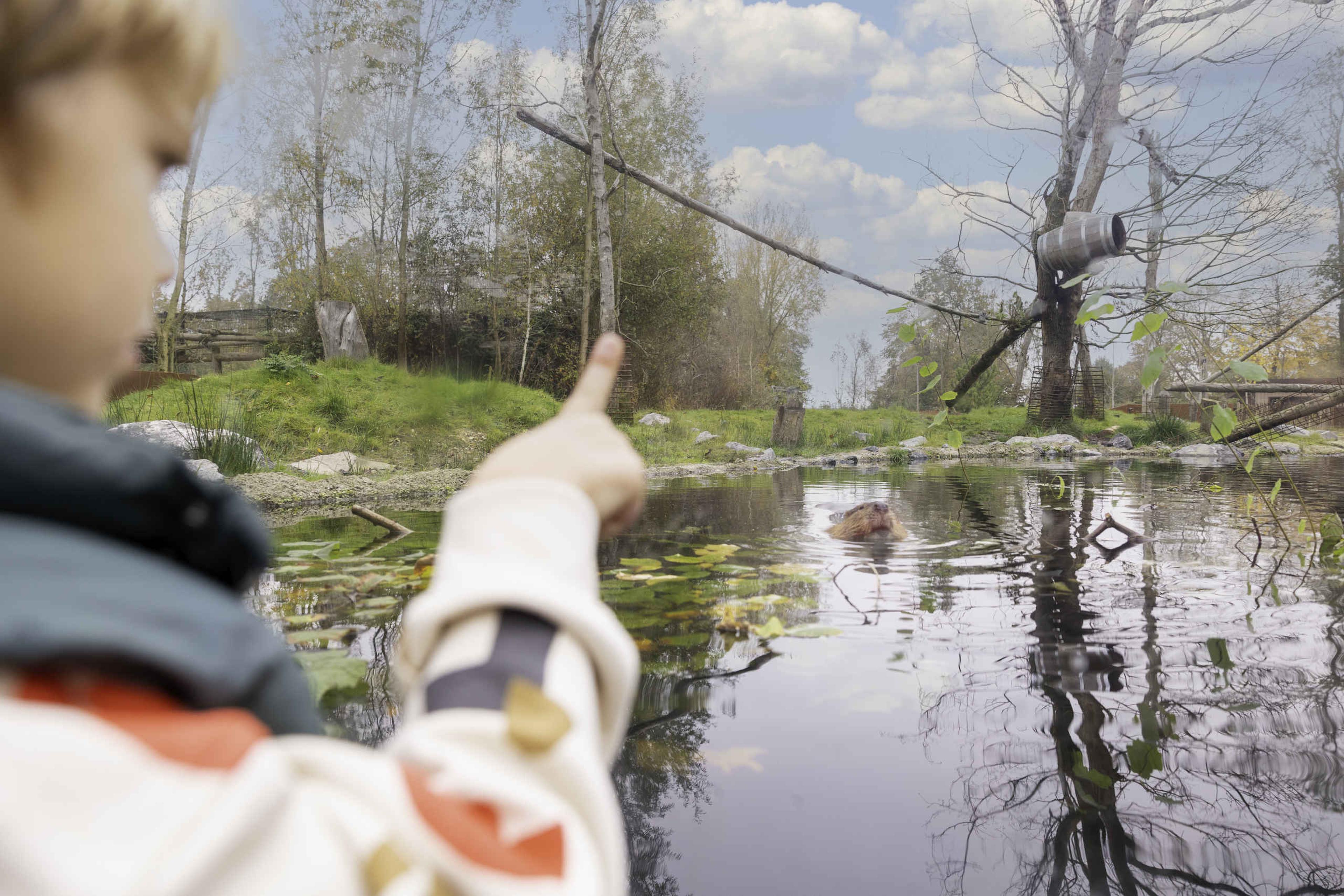 Jongen wijst naar de bever in het Churchill gebied in AquaZoo Leeuwarden