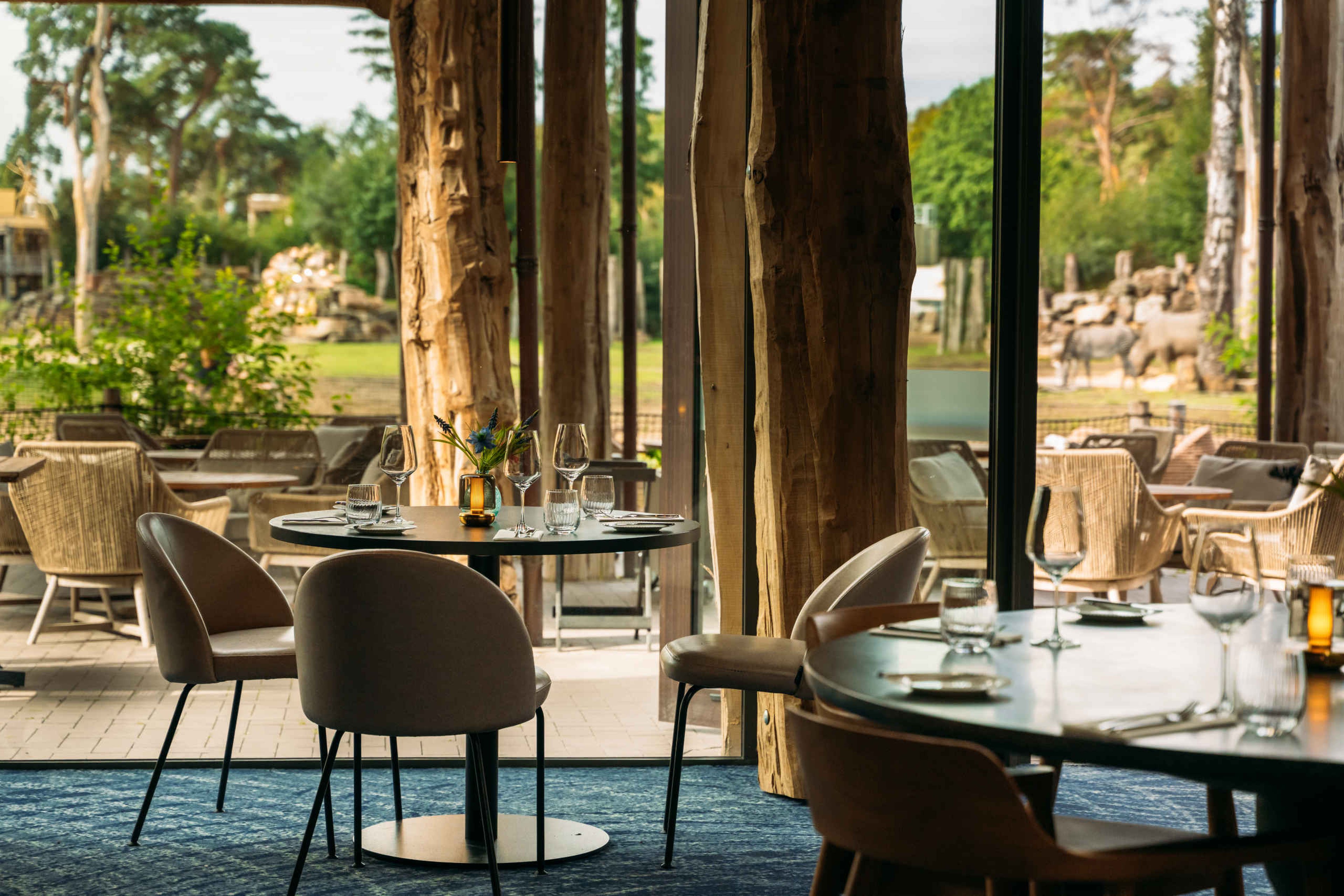 Interieur tafelsetting met uitzicht op de savanne in Bar & Restaurant Nommos