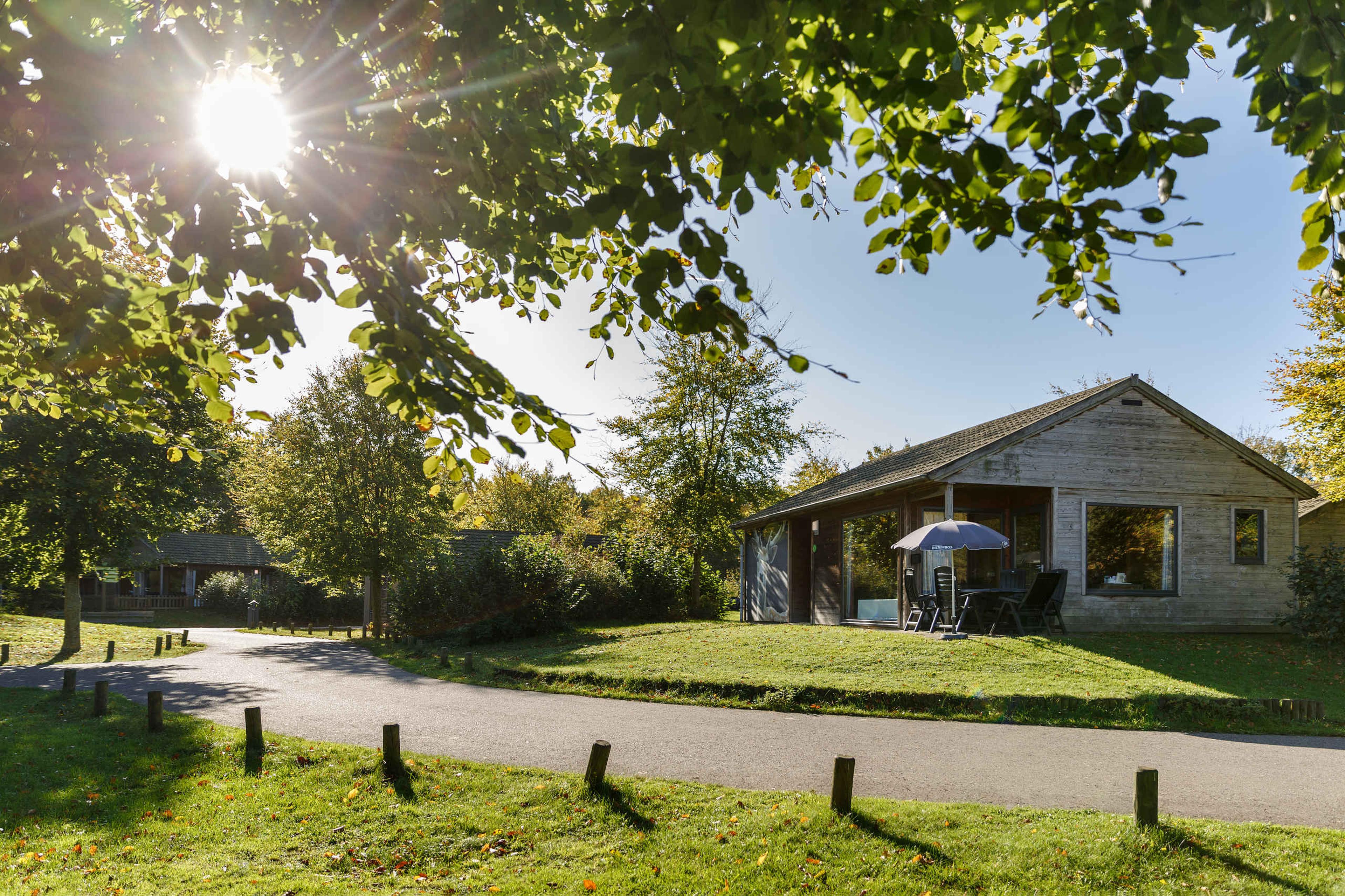 Herfst op Vakantiepark Dierenbos