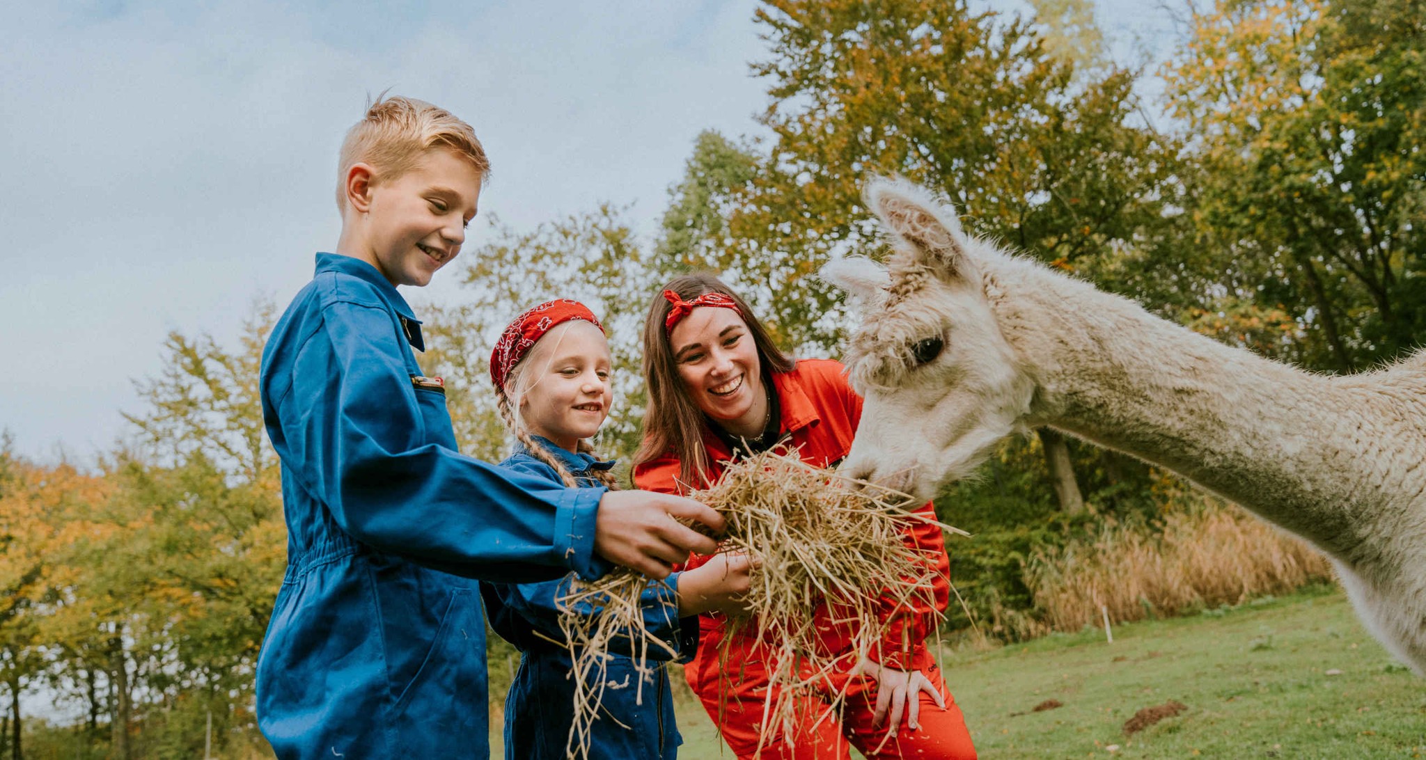 Kinderen met alpaca in Vakantiepark Dierenbos
