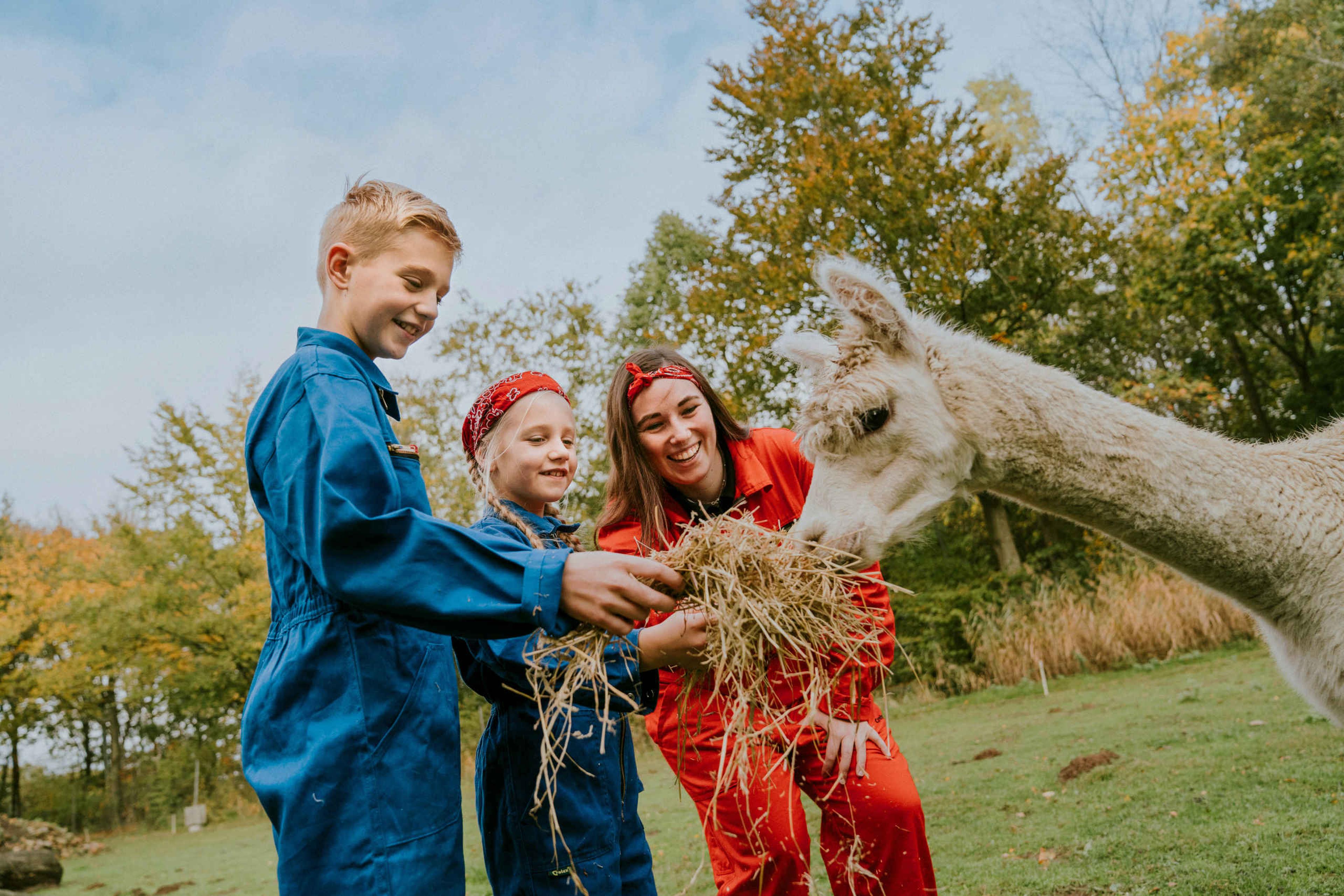 Kinderen met alpaca in Vakantiepark Dierenbos