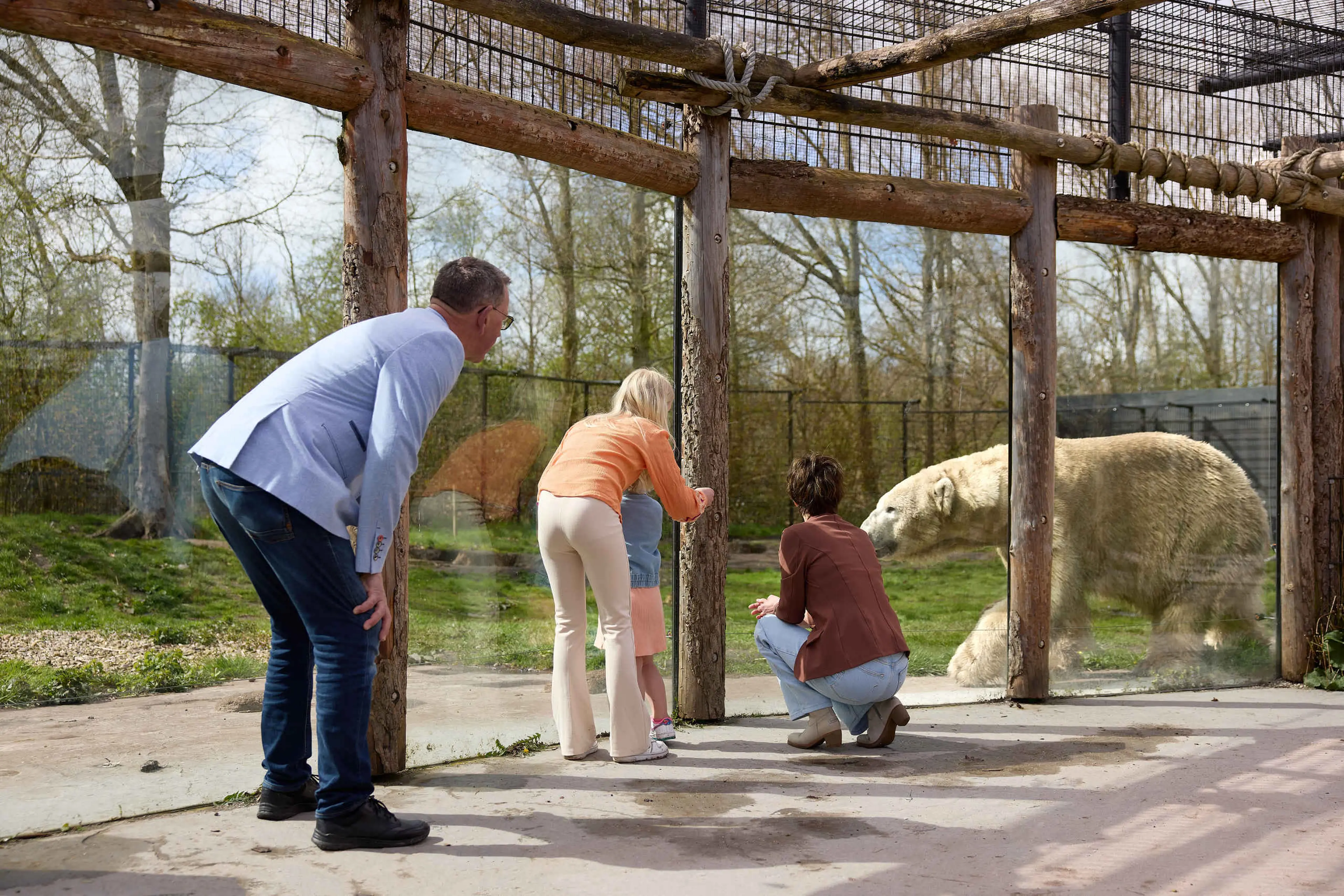 Kinderen en senioren bij de ijsberen de grootouders AquaZoo Leeuwarden