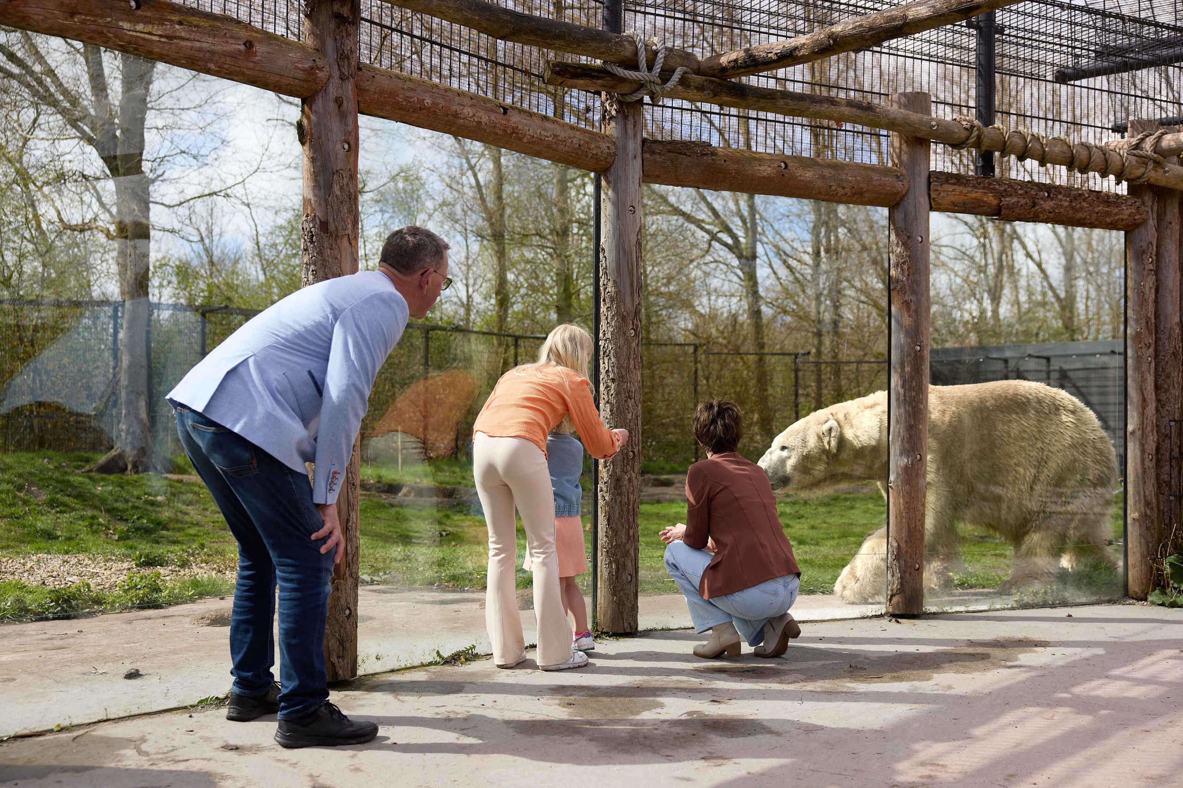 Kinderen en senioren bij de ijsberen de grootouders AquaZoo Leeuwarden