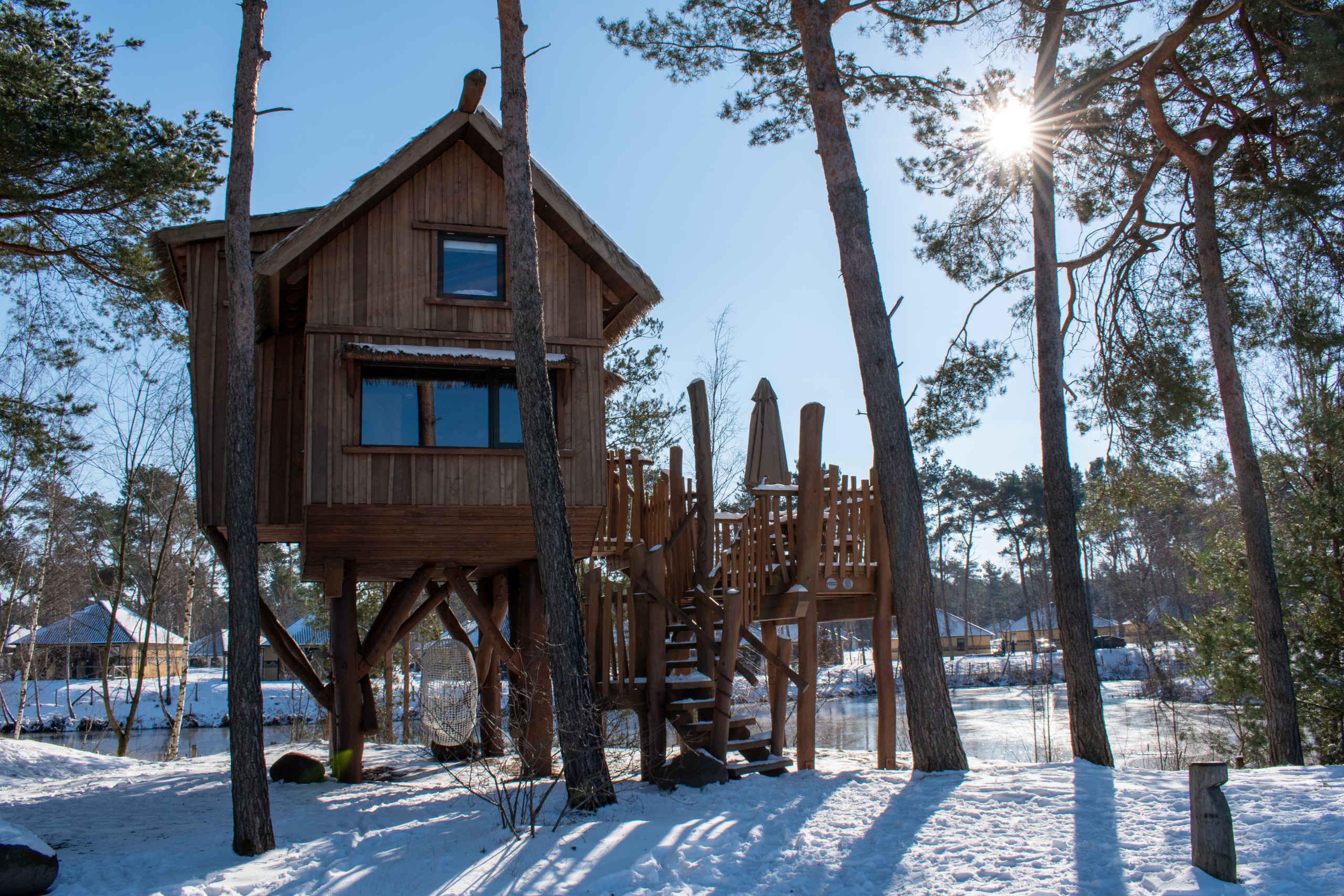 Een boomhut bedekt met sneeuw bij Safari Resort Beekse Bergen.