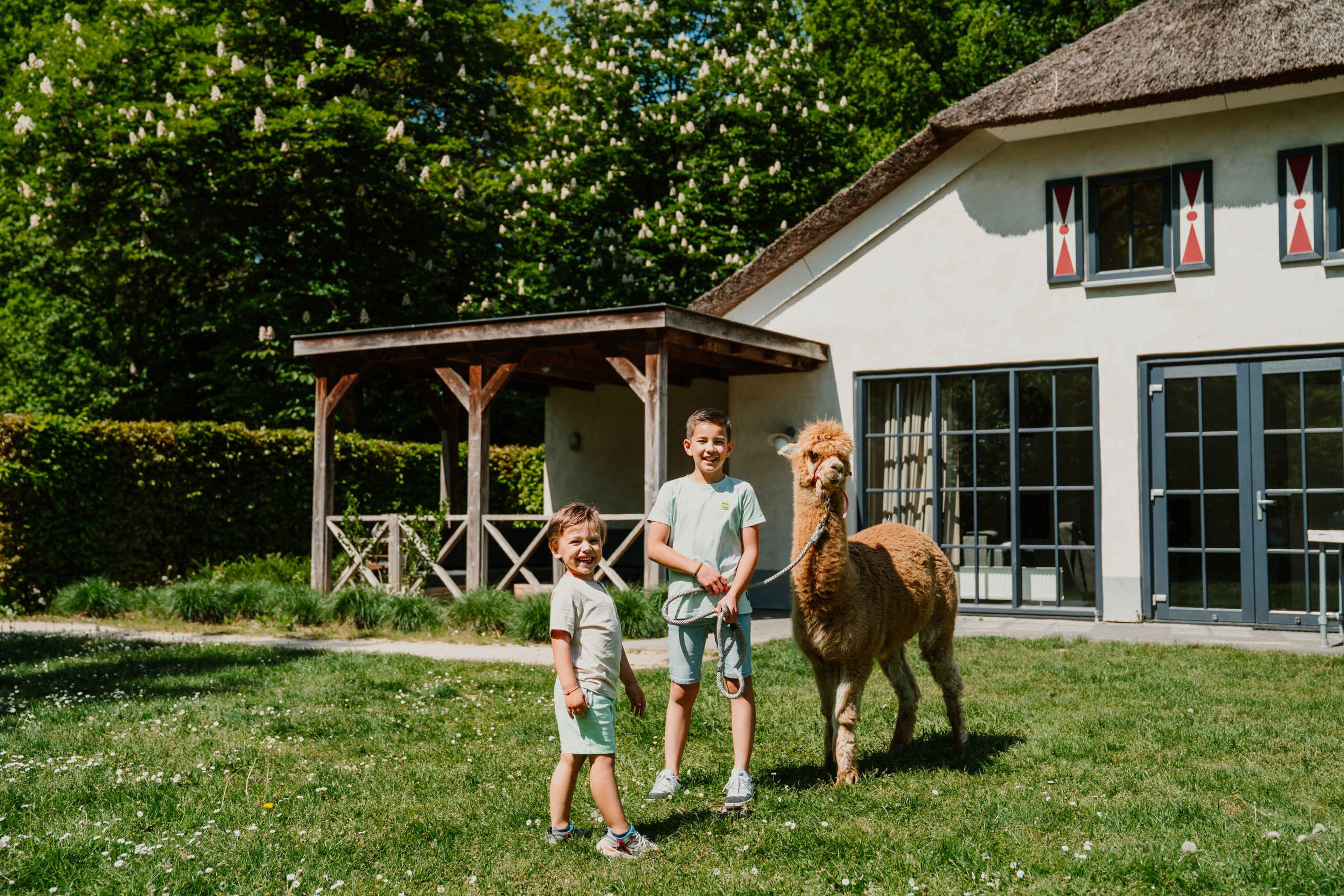Twee jongens staan met een alpaca voor Villa Alpaca bij Vakantiepark Dierenbos.