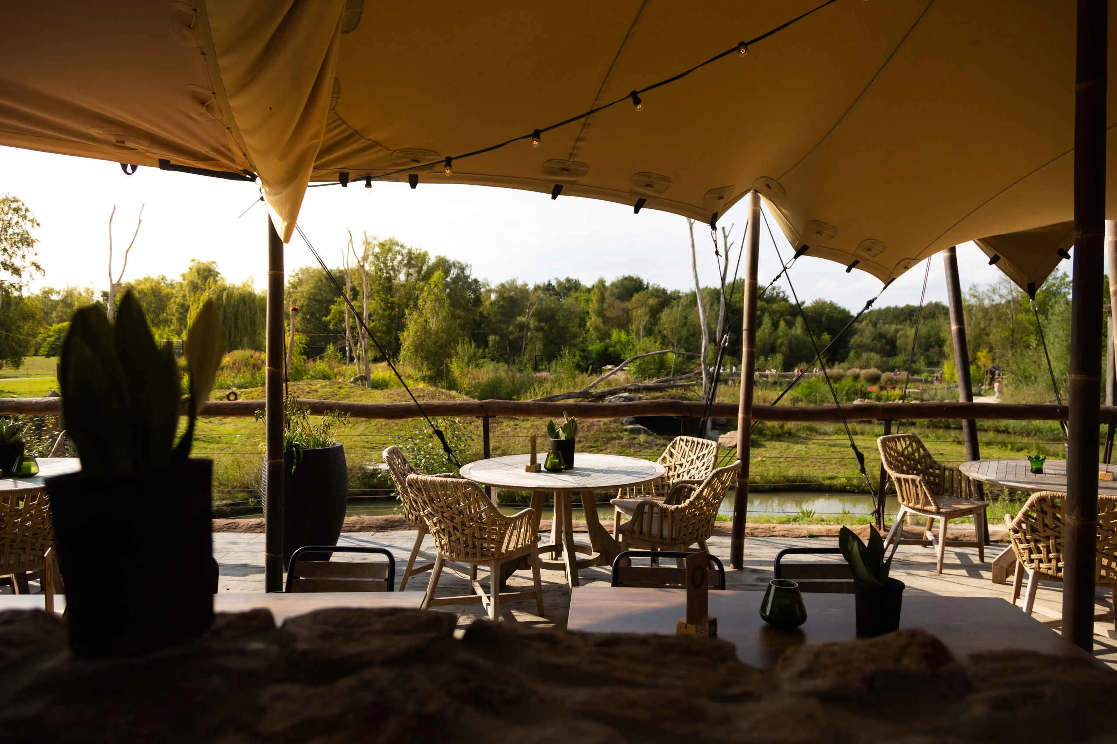 Restaurant Wanyama met overdekt terras in Safaripark Beekse Bergen