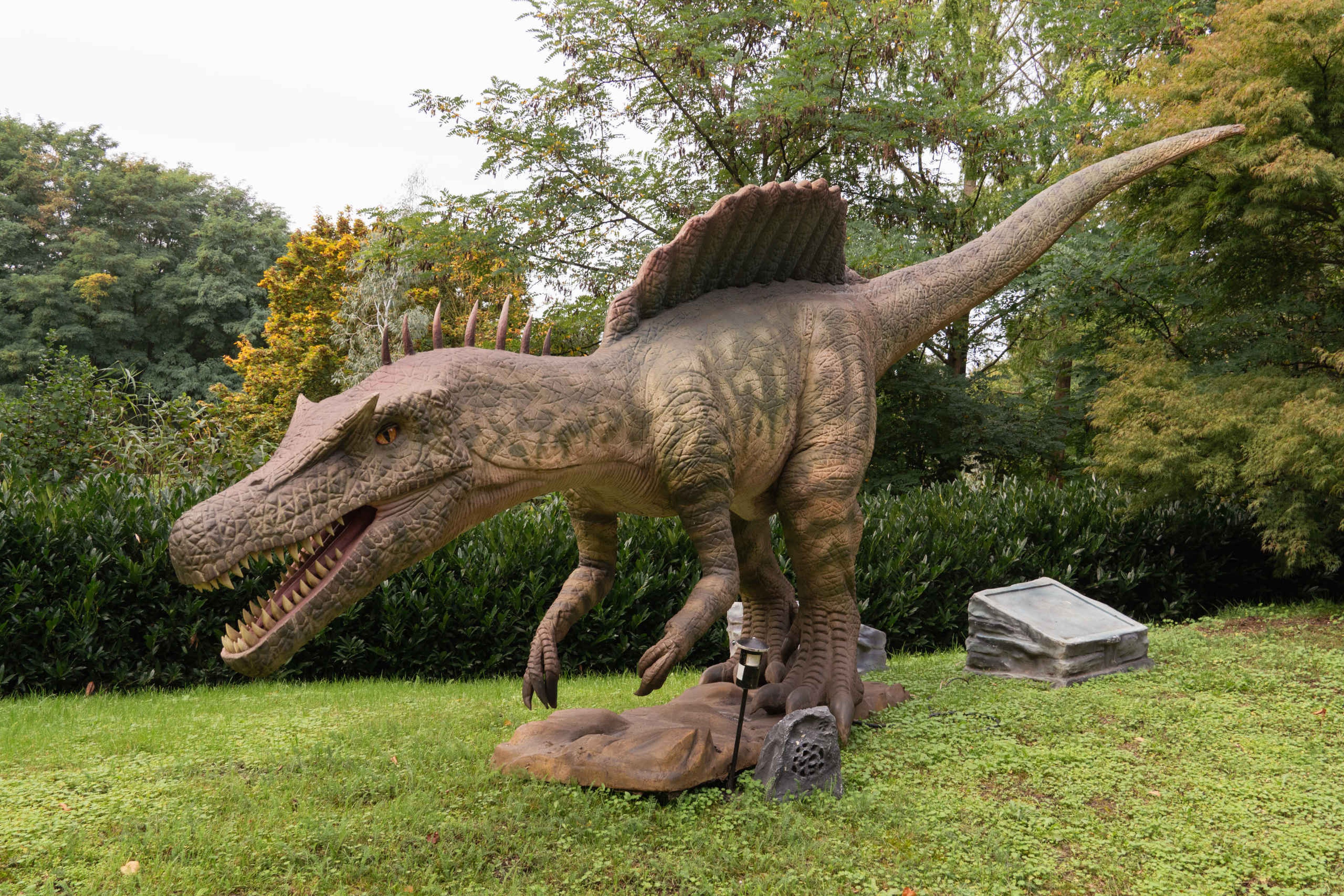Een spinosaurus tijdens de Dino Weken in ZooParc Overloon