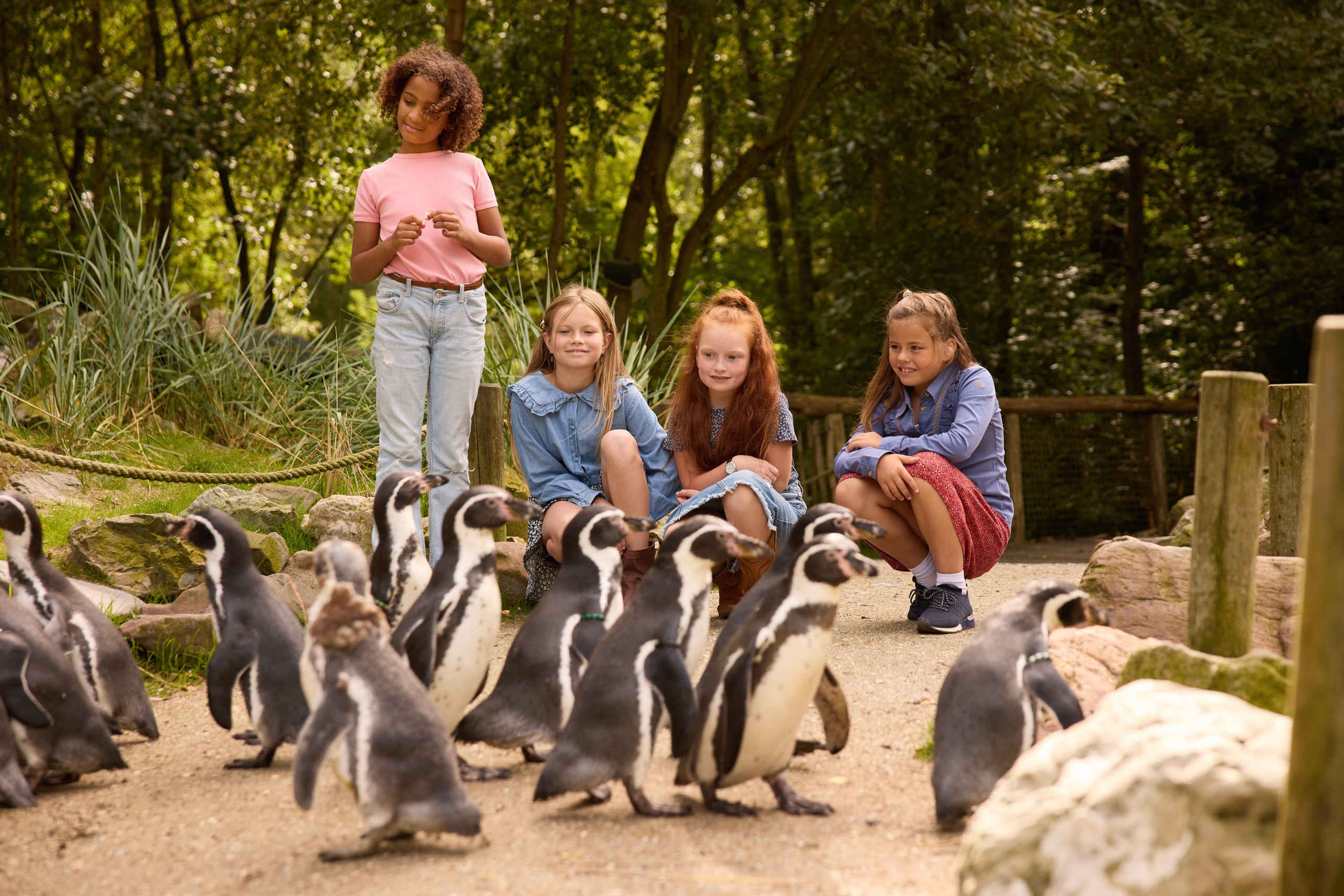 Kinderen bij de pinguins in AquaZoo Leeuwarden