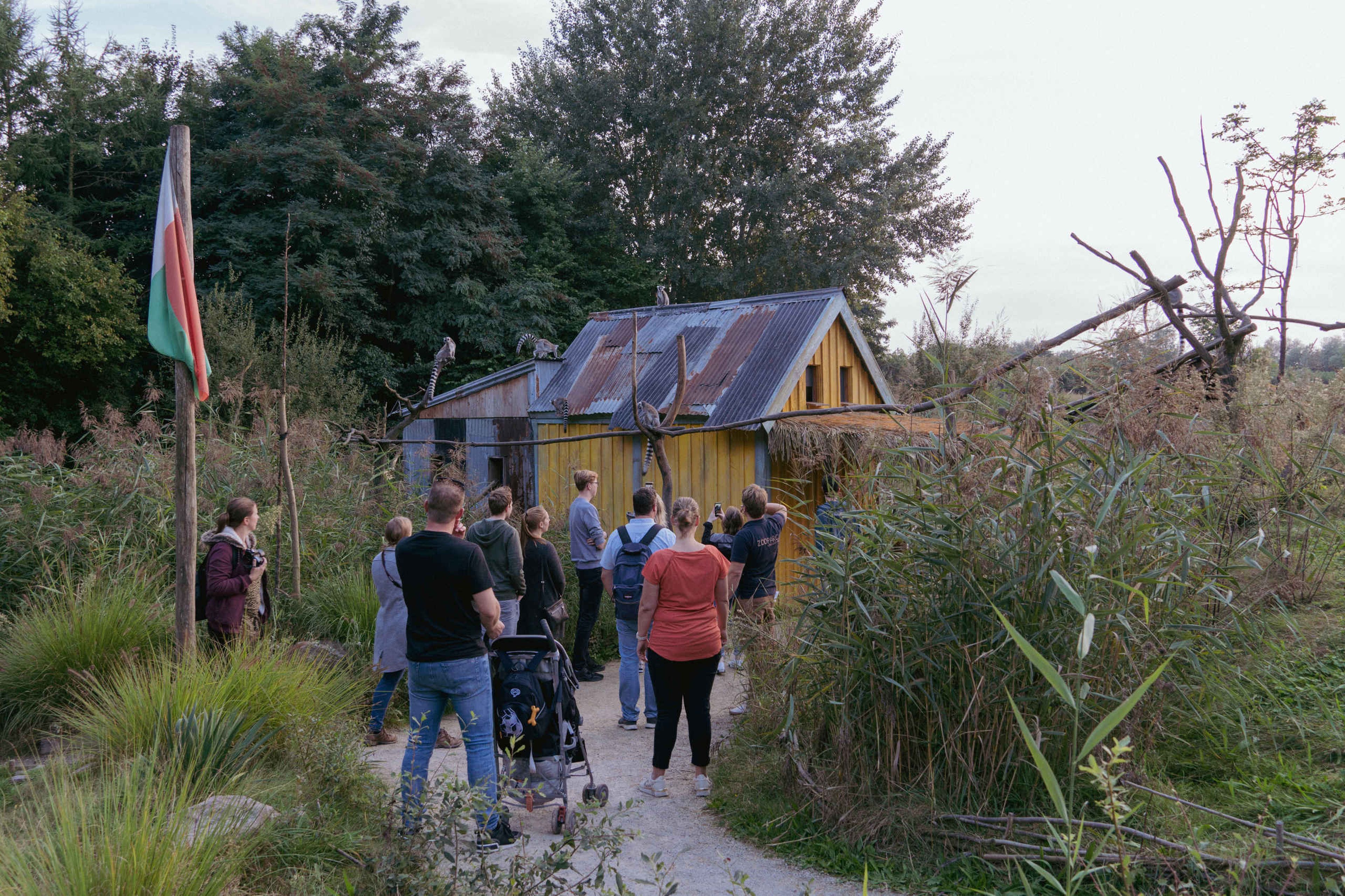 Schemertour rondleiding in ZooParc Overloon