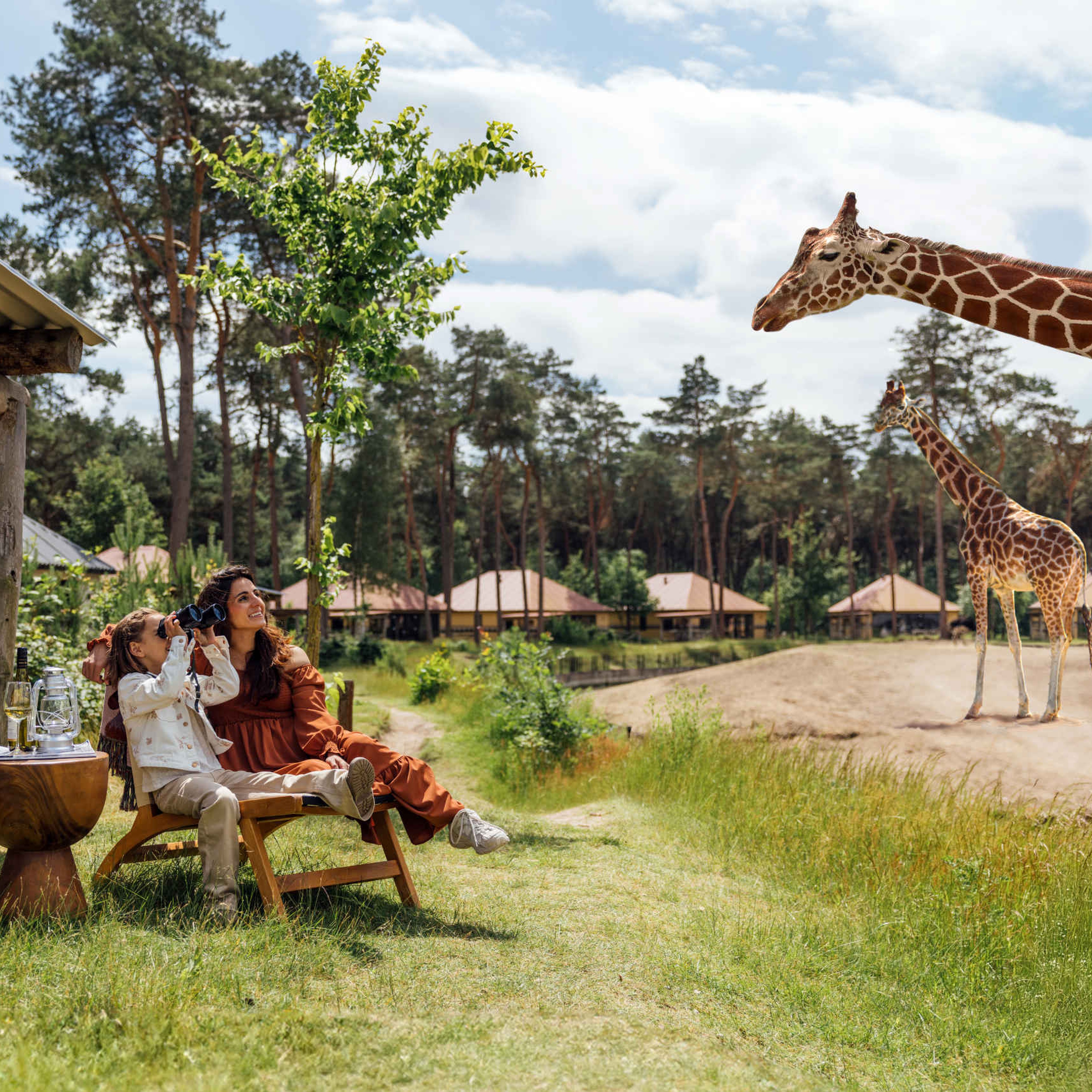 Gezin in de zomer in een Savanne Lodge bij de giraffen op Safari Resort Beekse Bergen