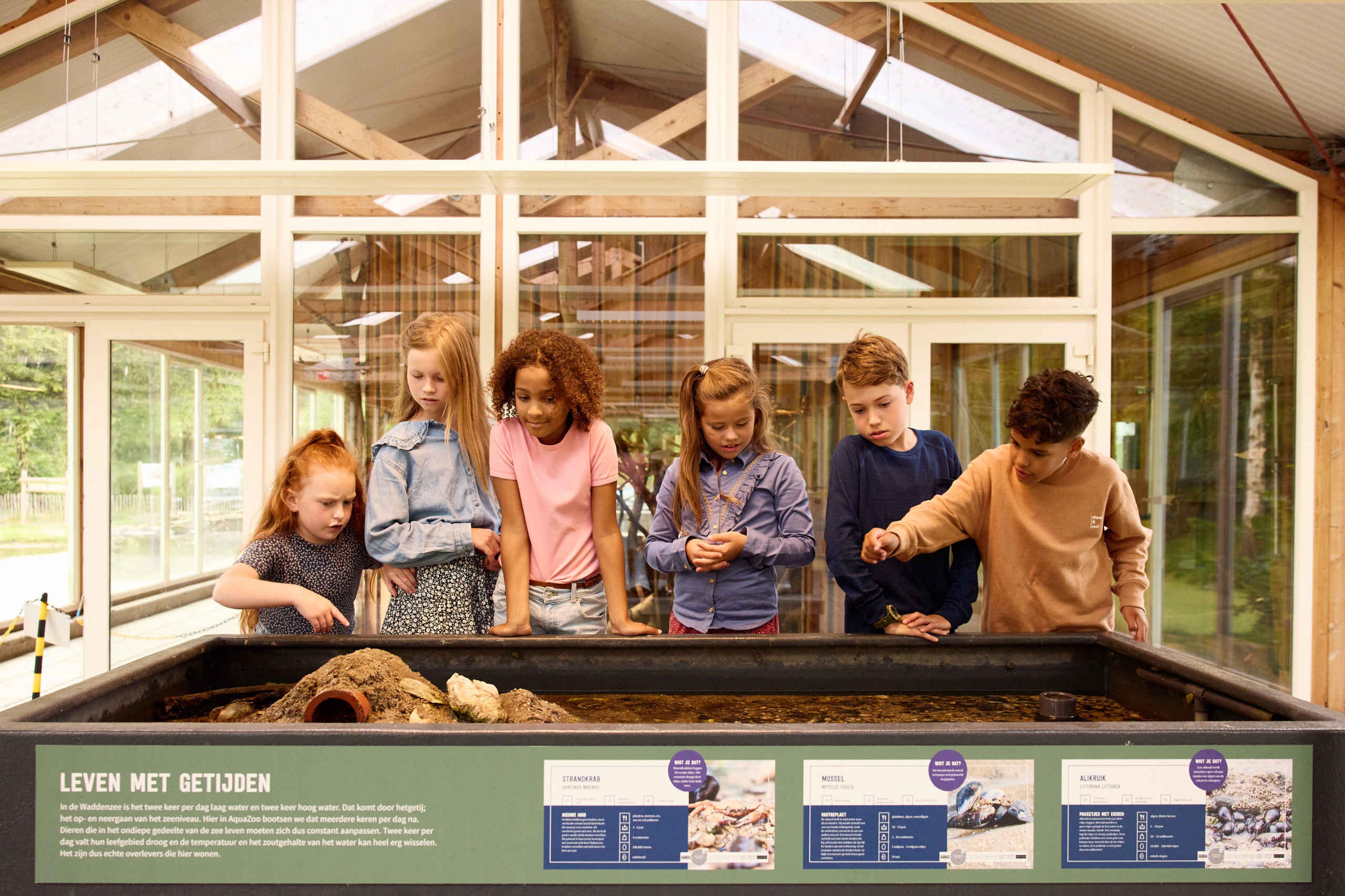 Kinderfeestje kinderen in het waddengebied AquaZoo Leeuwarden