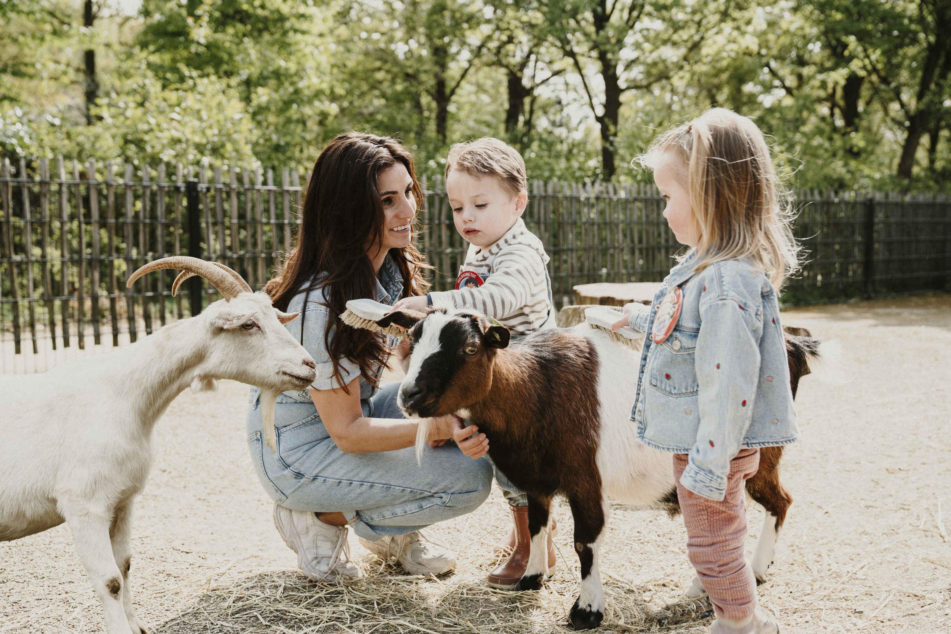Een jongen kamt de geiten met een vrouw en meisje.