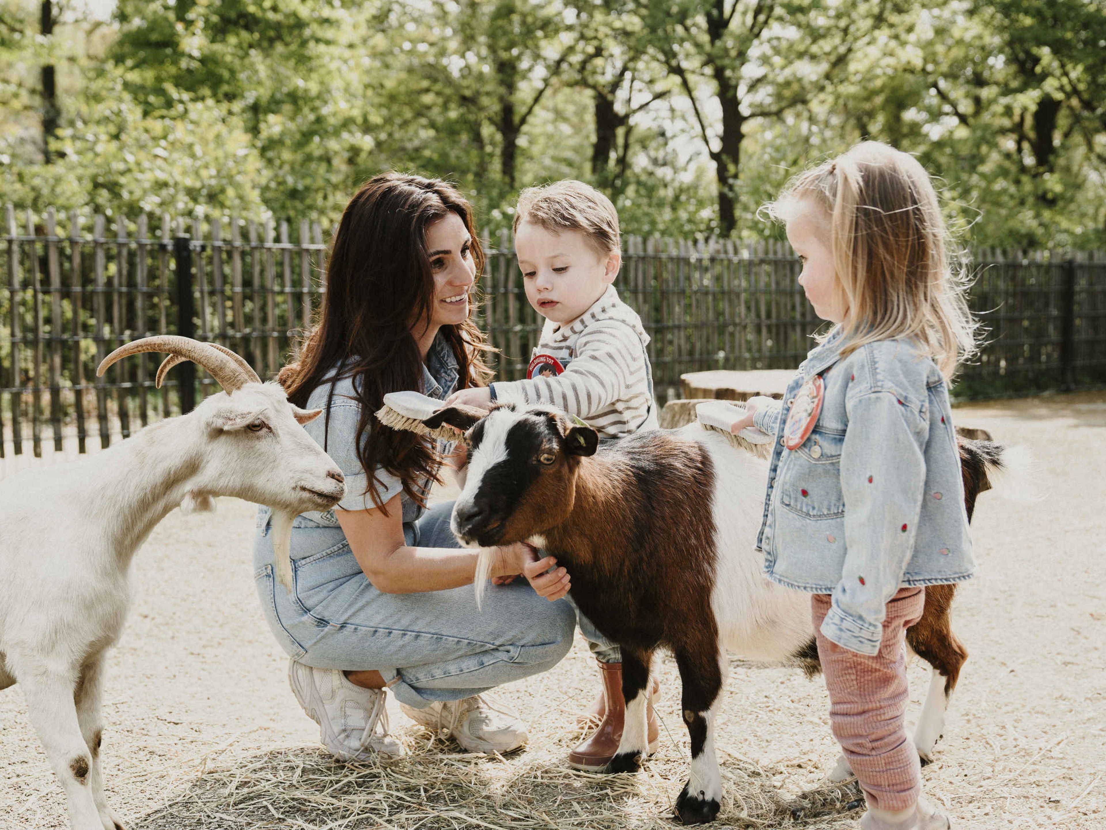 Een jongen kamt de geiten met een vrouw en meisje.
