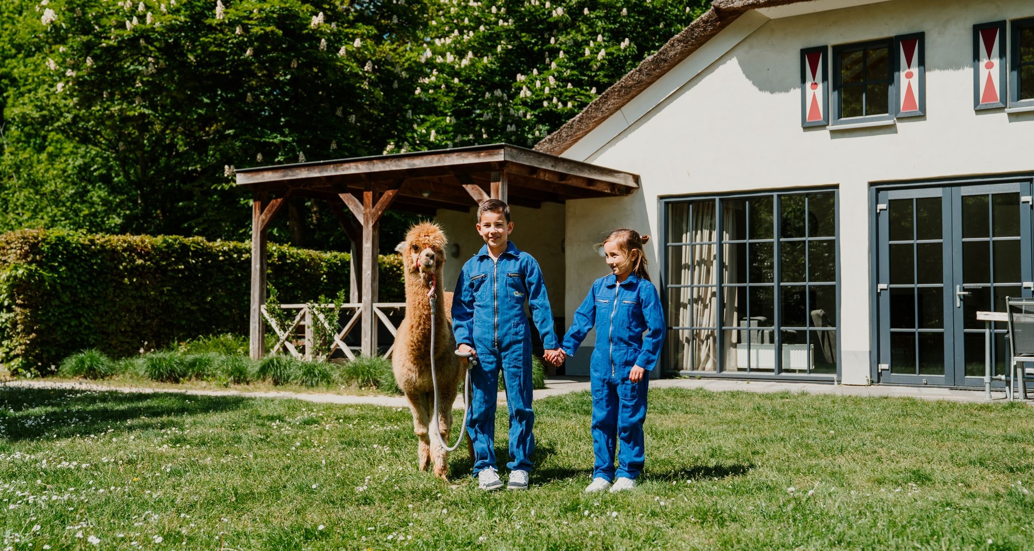 Broer en zus lopen in de zomer met een alpaca over het grasveld bij Villa Alpaca bij Vakantiepark Dierenbos.